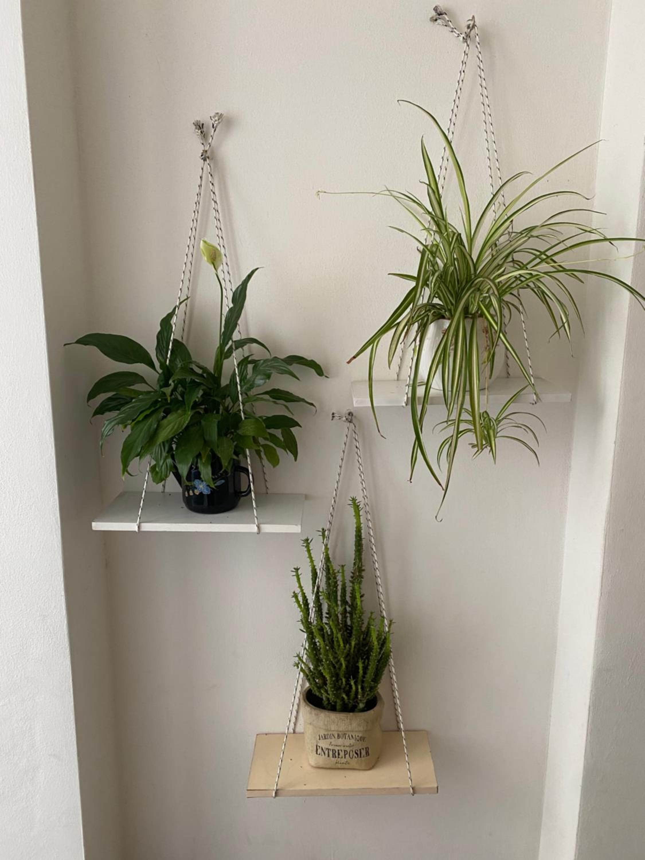 Panoramic apartment