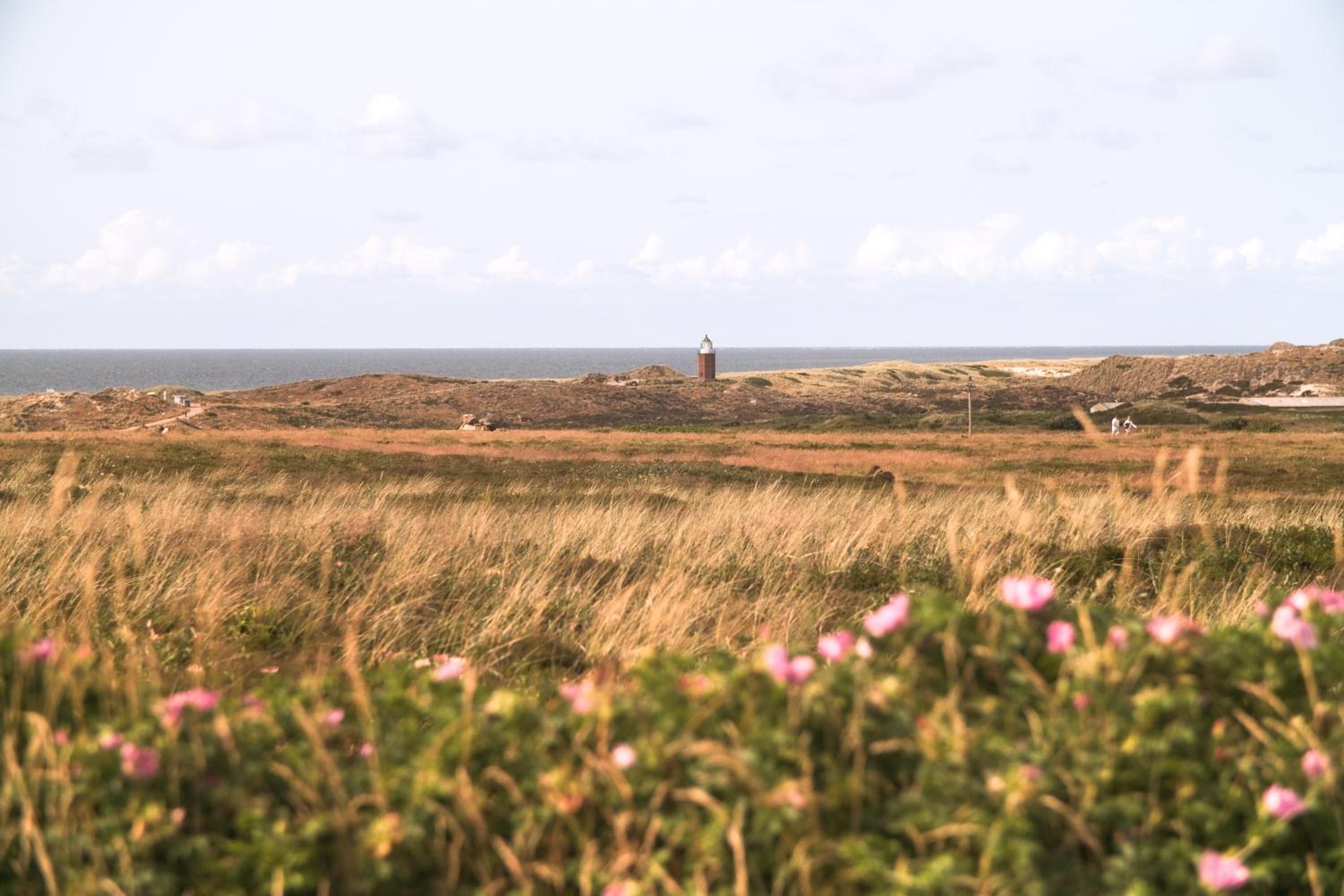 Boutique Suites Sylt in Kampen am Roten Kliff Re-Opening Mai 2023