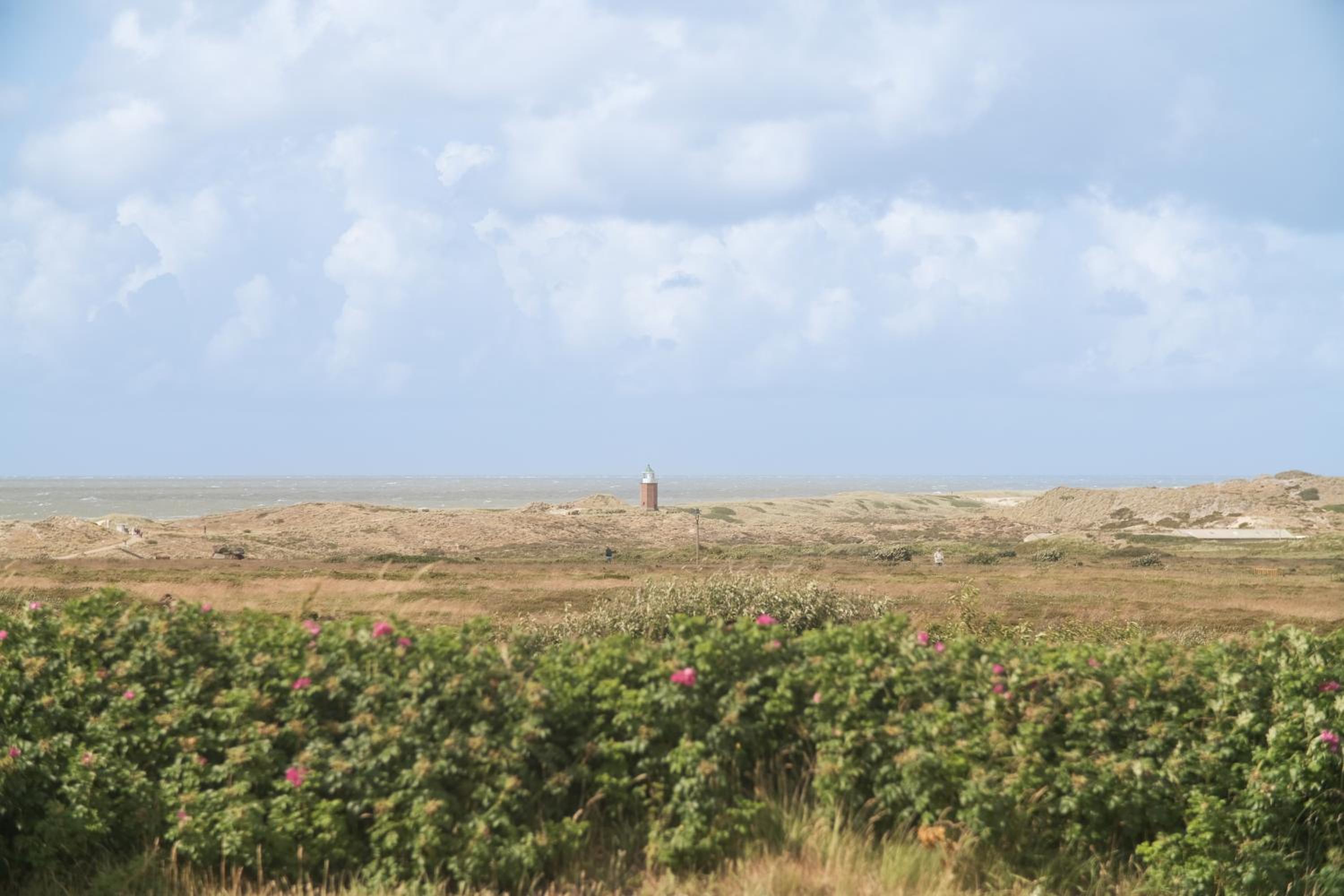 Boutique Suites Sylt in Kampen am Roten Kliff Re-Opening Mai 2023