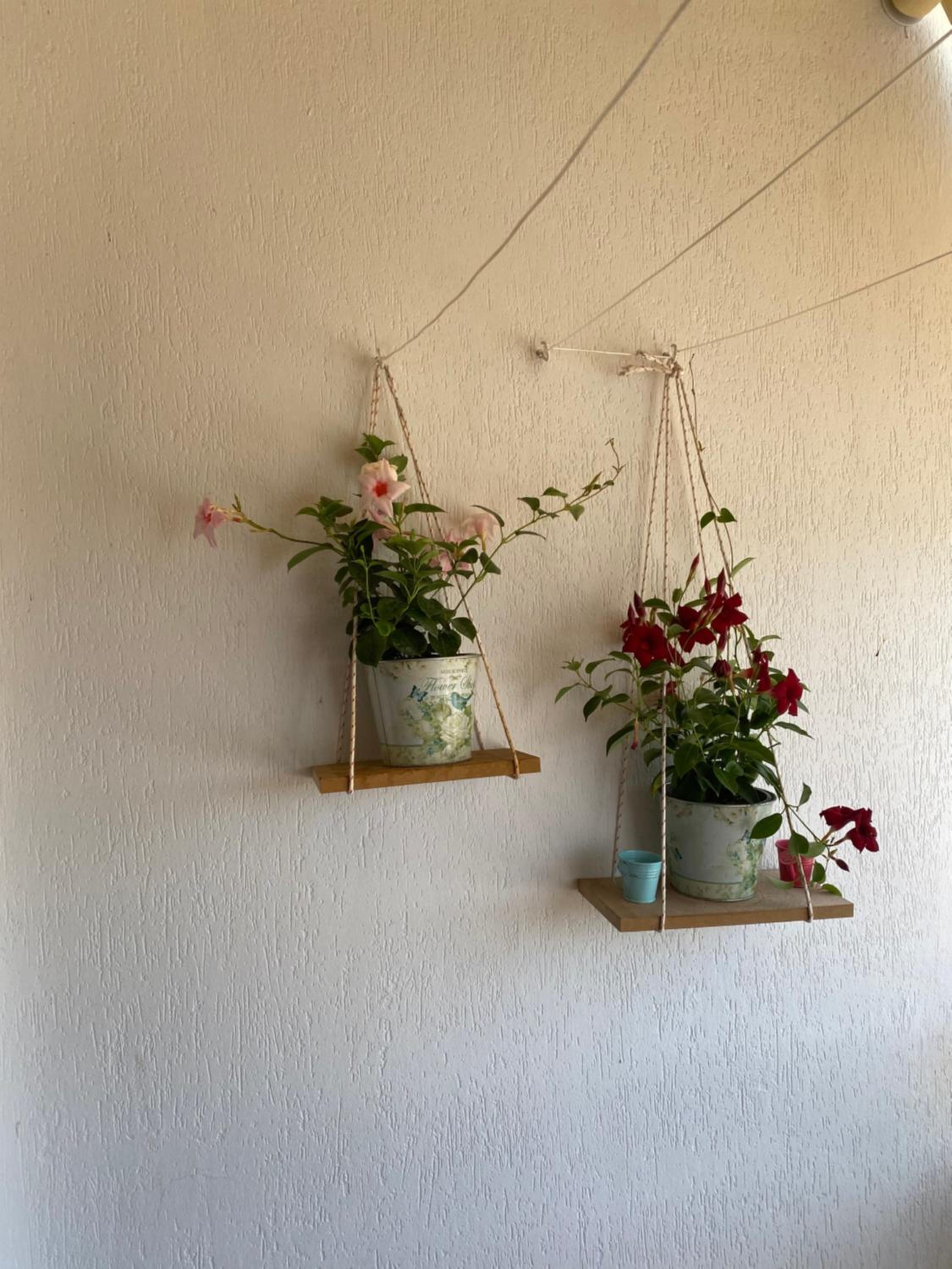 Panoramic apartment