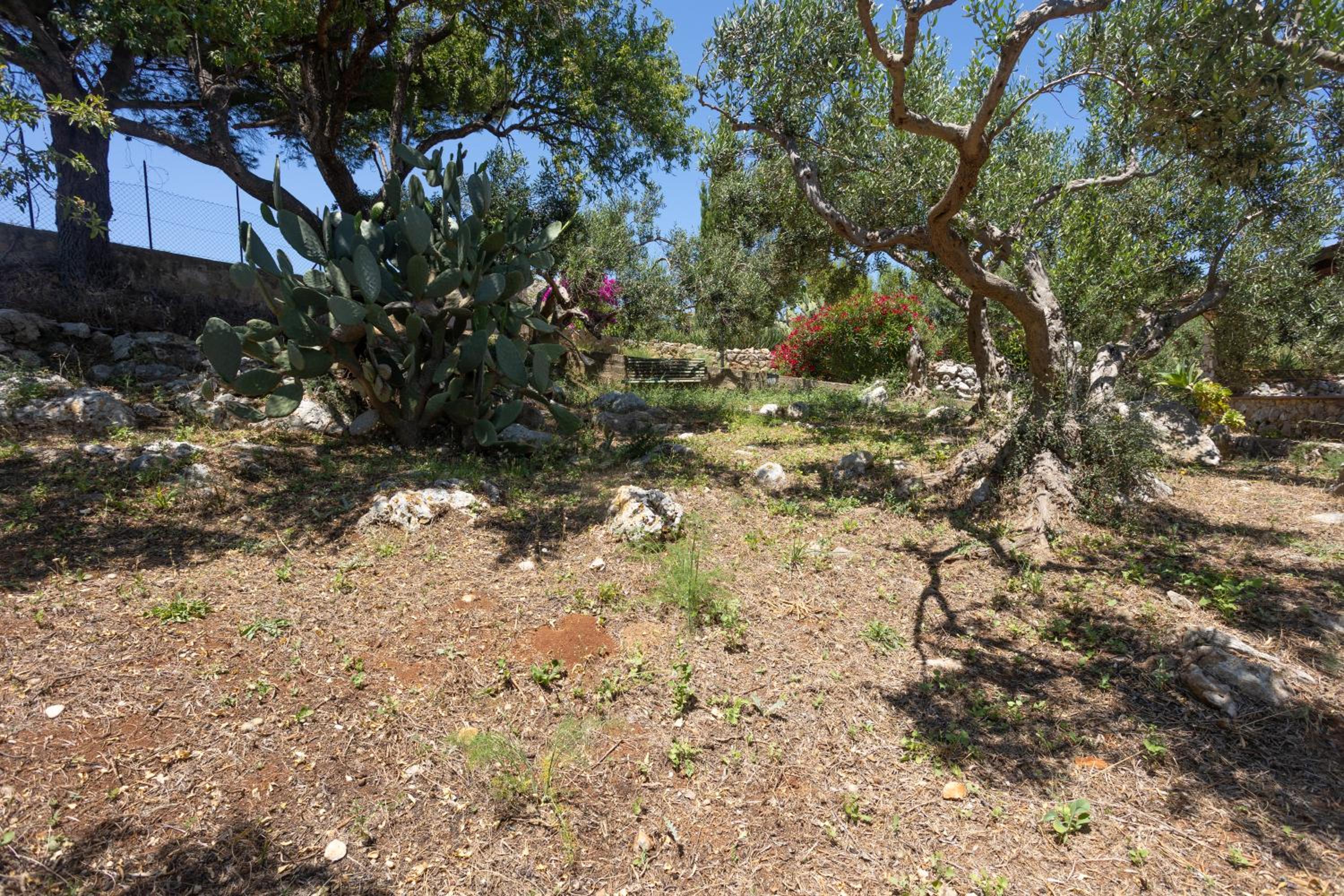 Photo 28