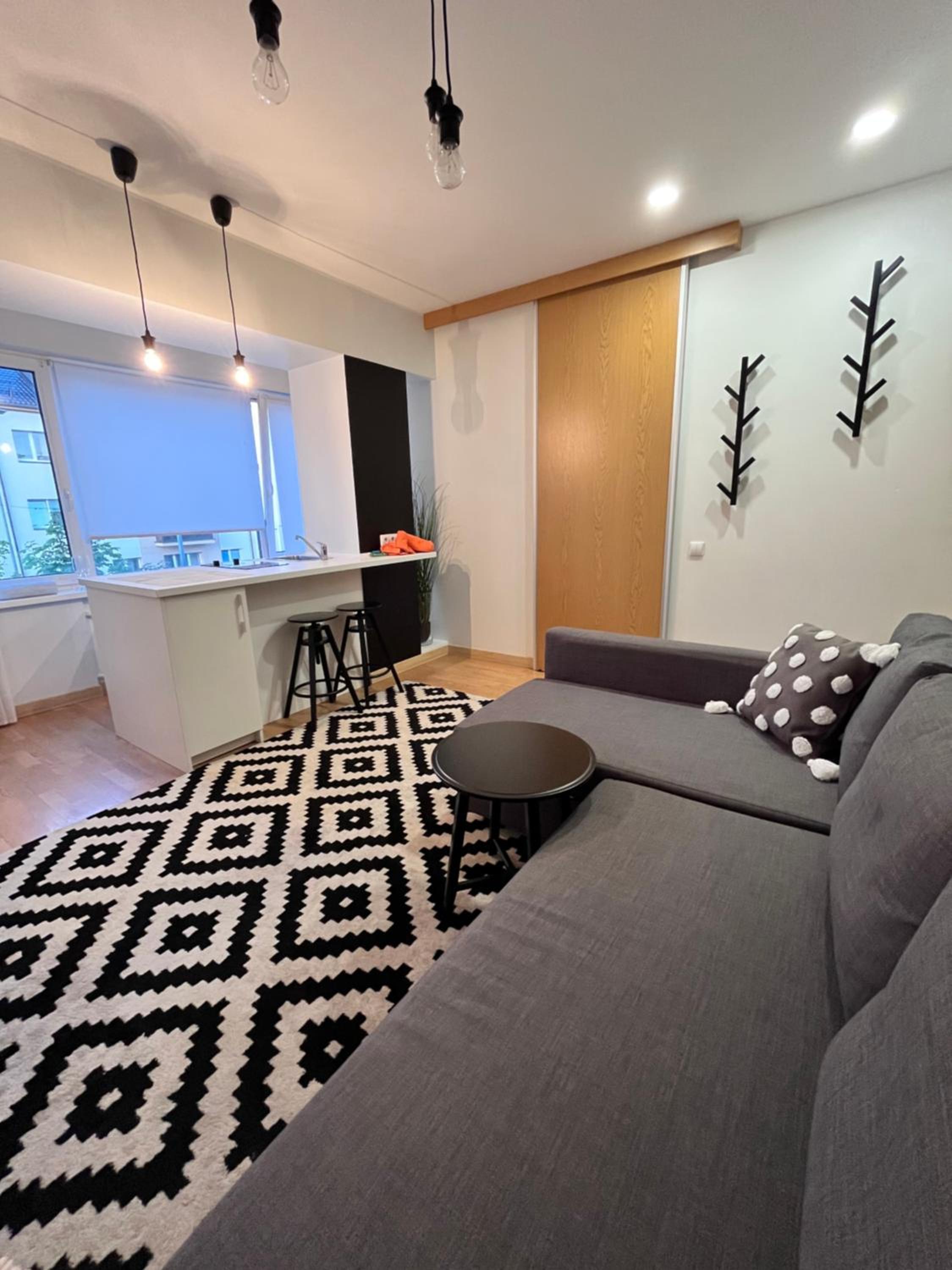 Stilingi šaulio skulptūros apartamentai view 4