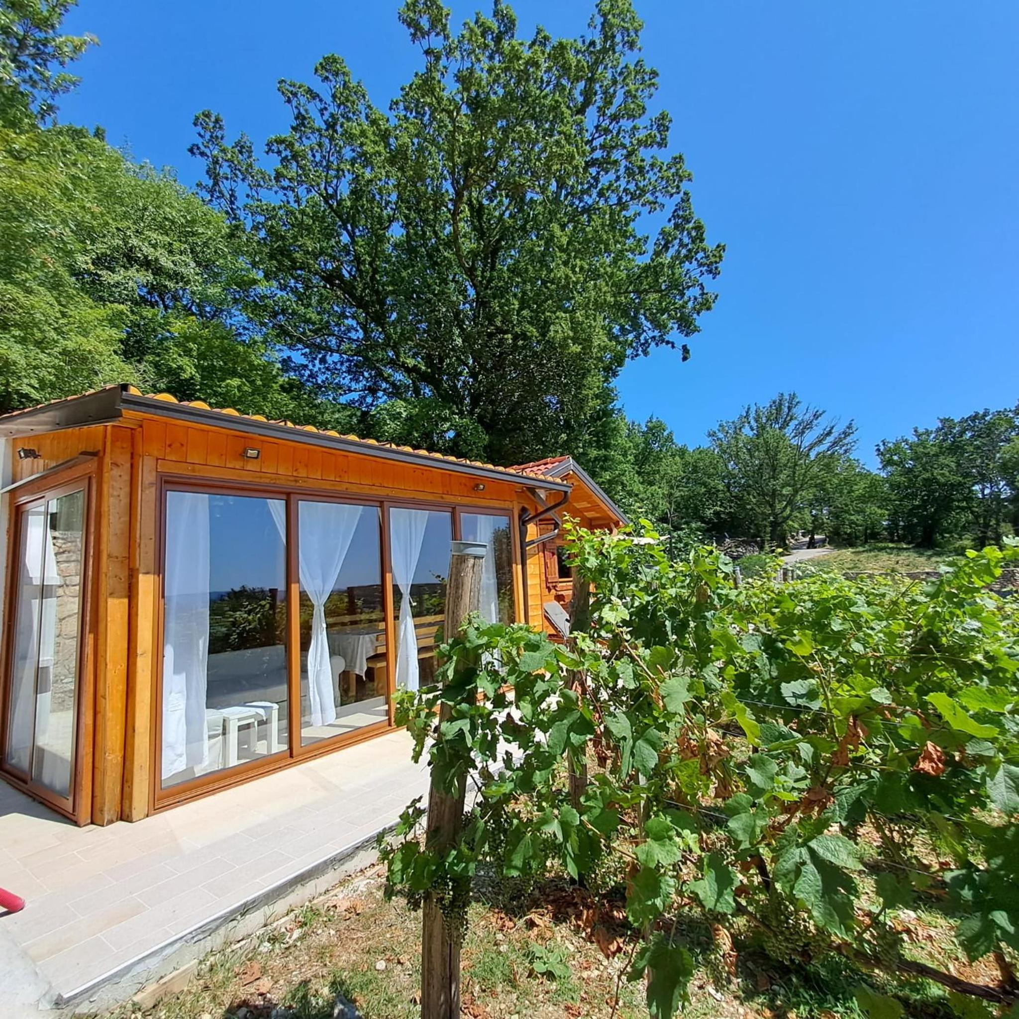 Vineyard house