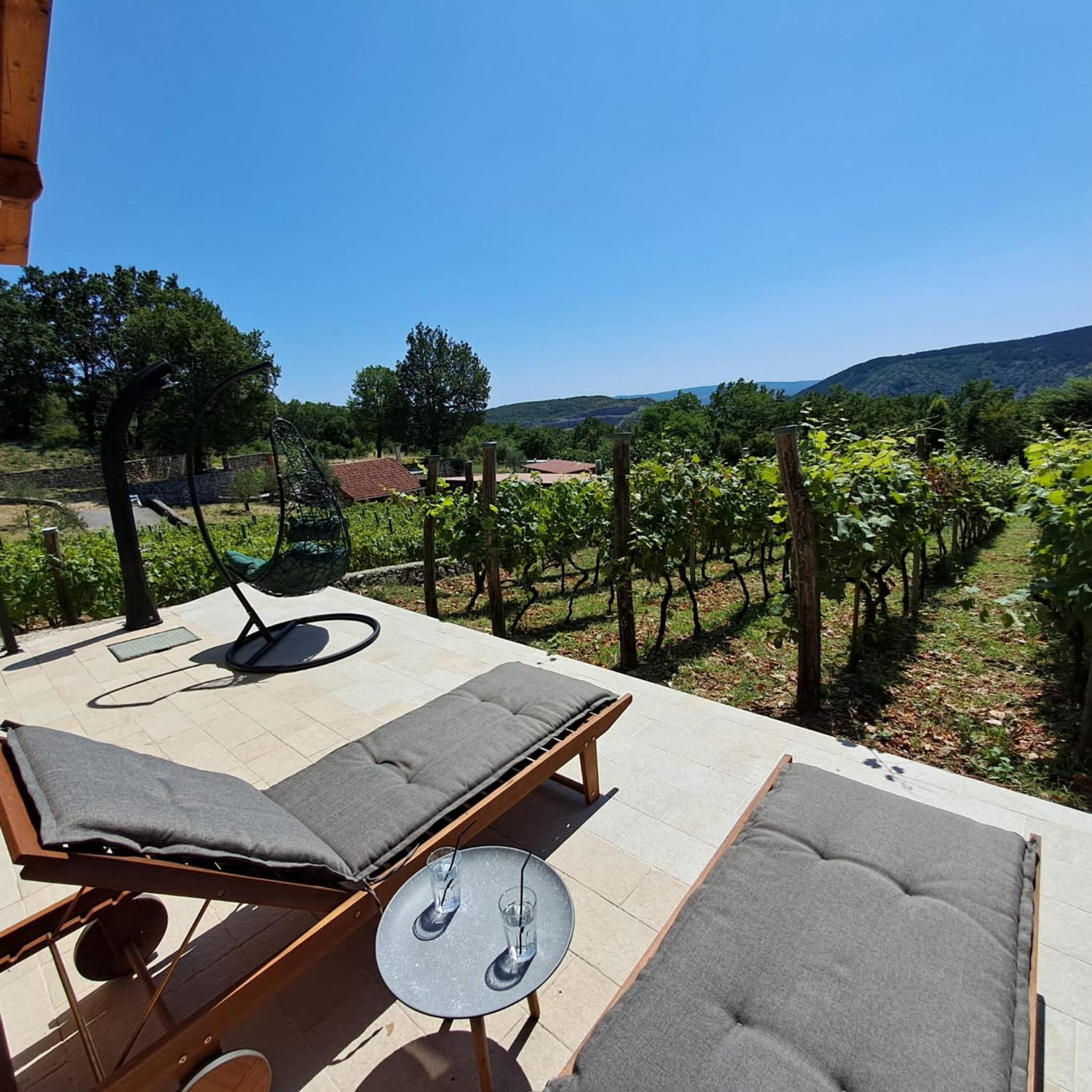 Vineyard house