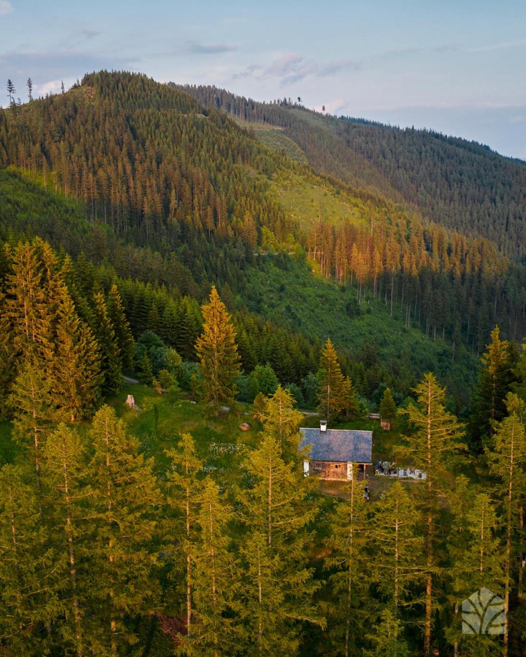 Waldhütte KOSAK - jetzt neu mit Bad & WC