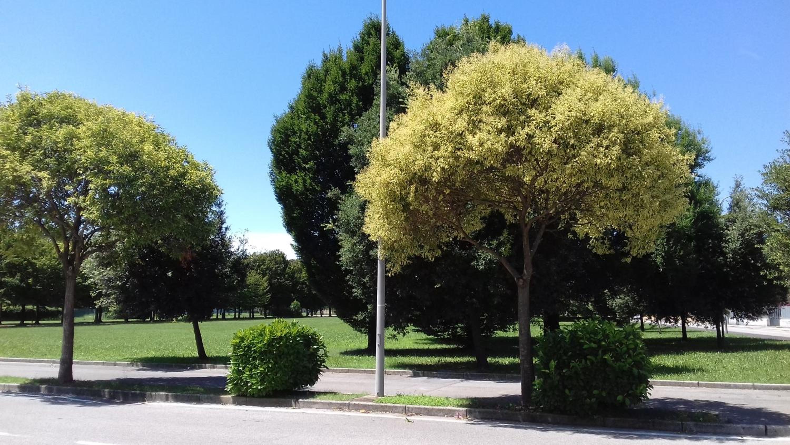Monolocale Monticano