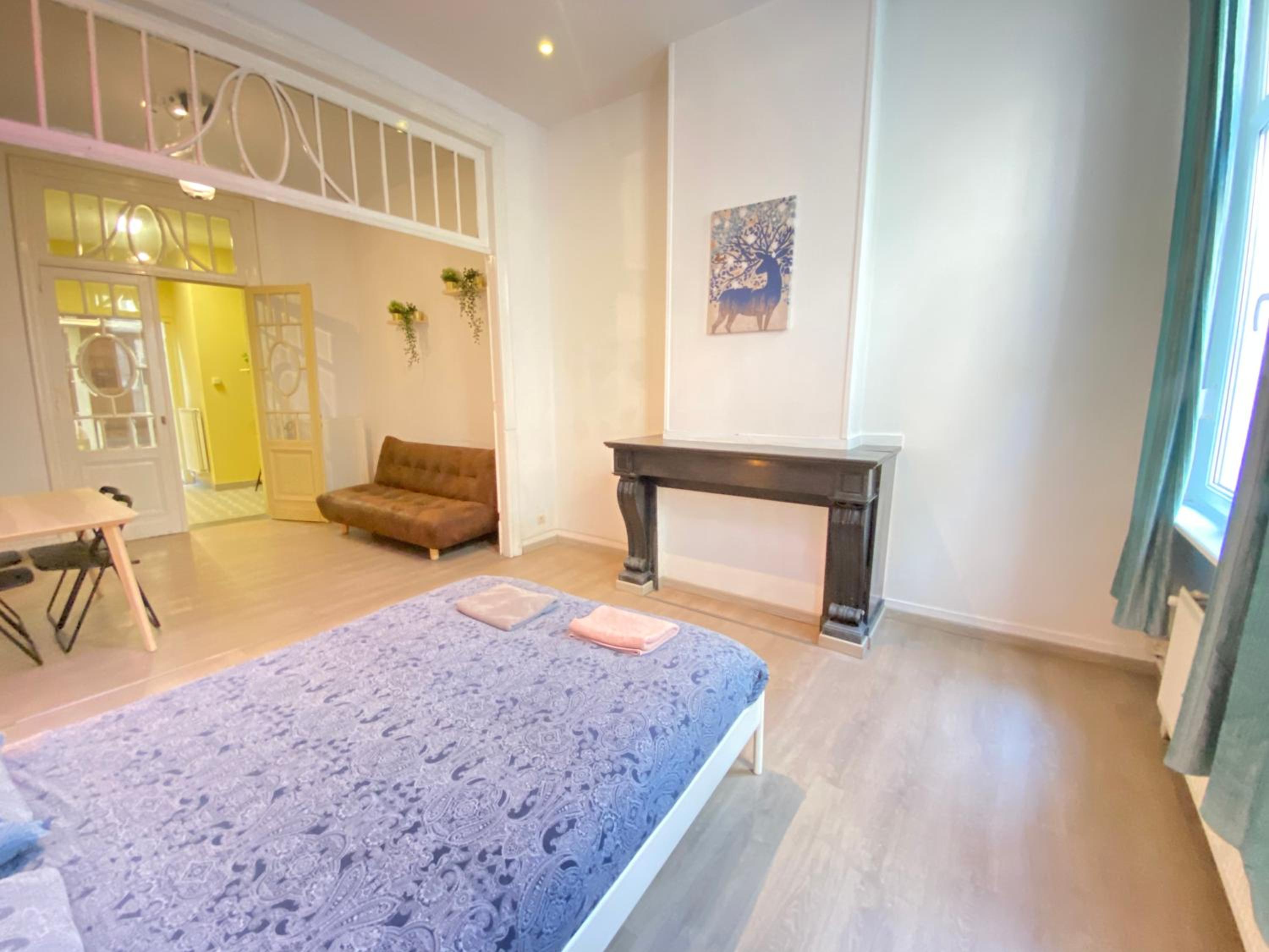 Central Apartments in the Heart of Antwerp