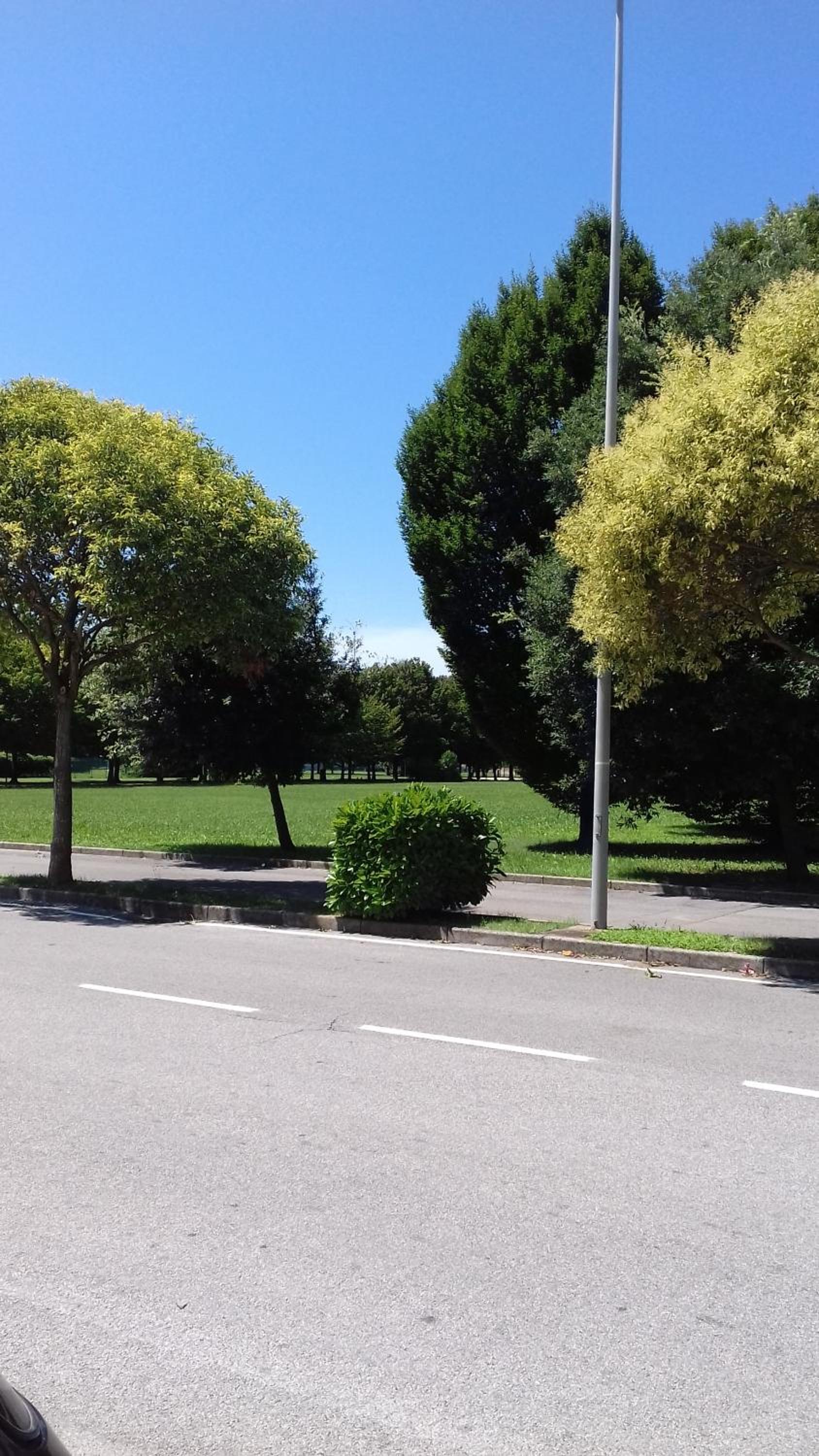 Monolocale Monticano