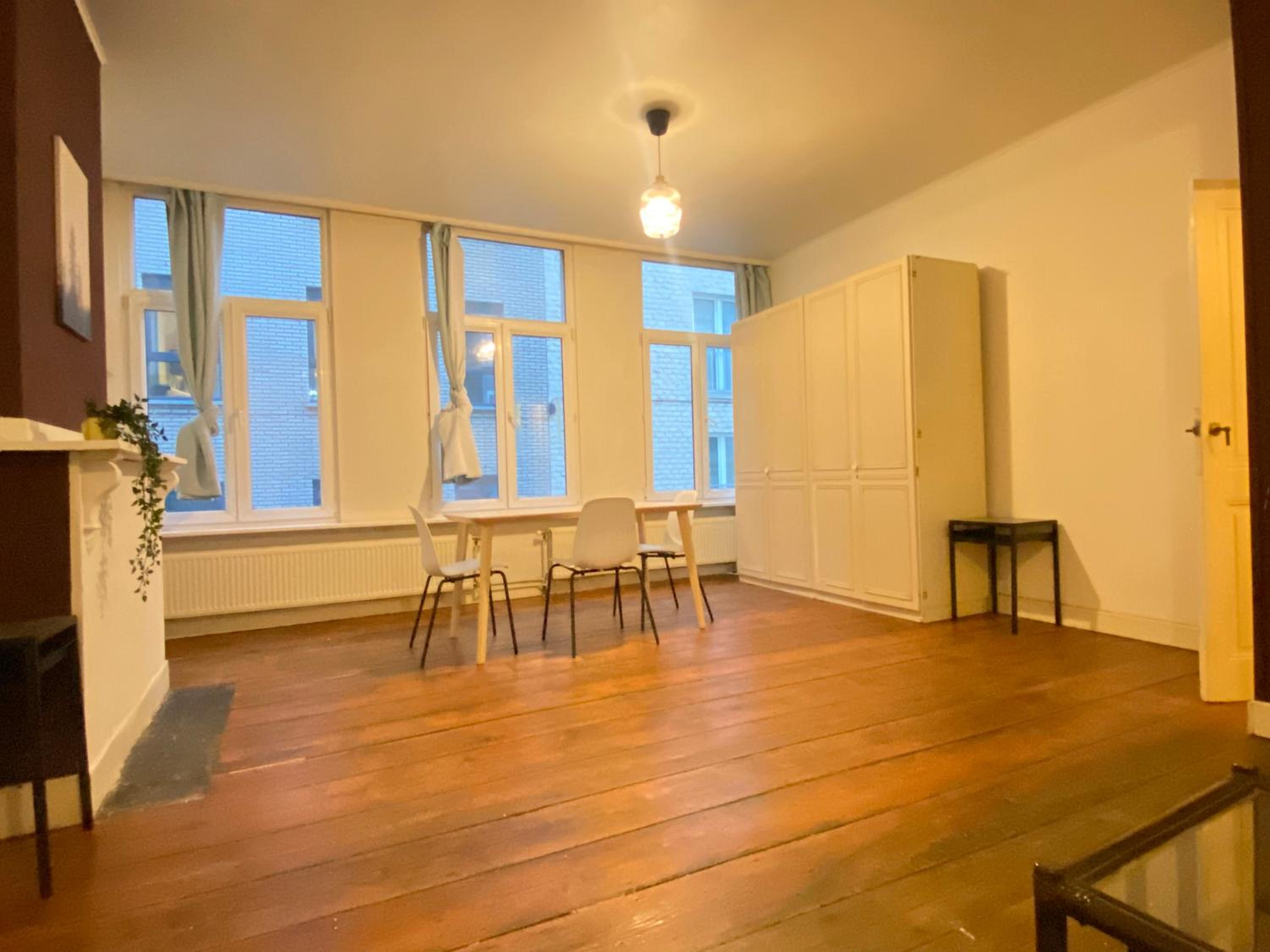 Central Apartments in the Heart of Antwerp