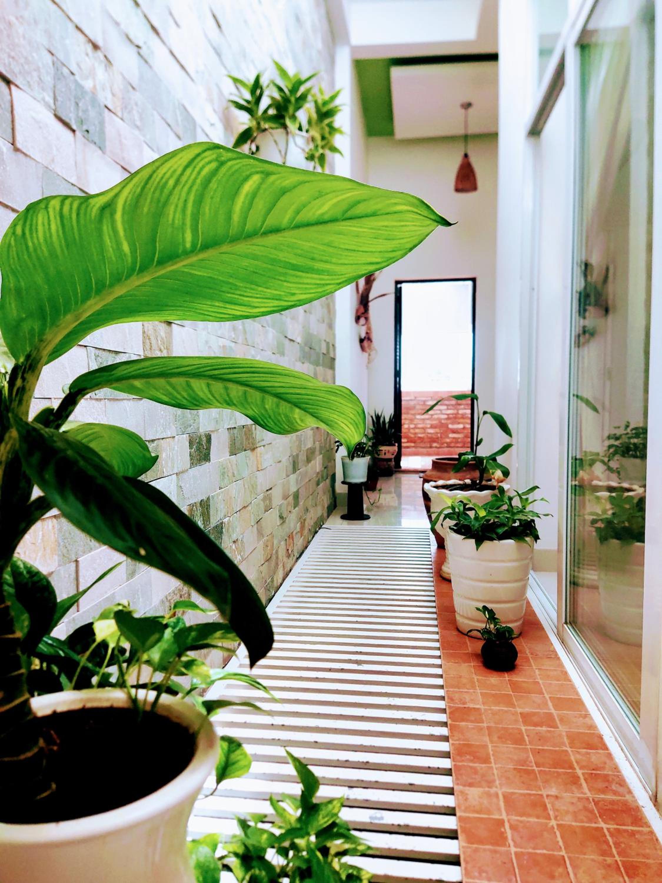 Nạp Homestay, photo 38