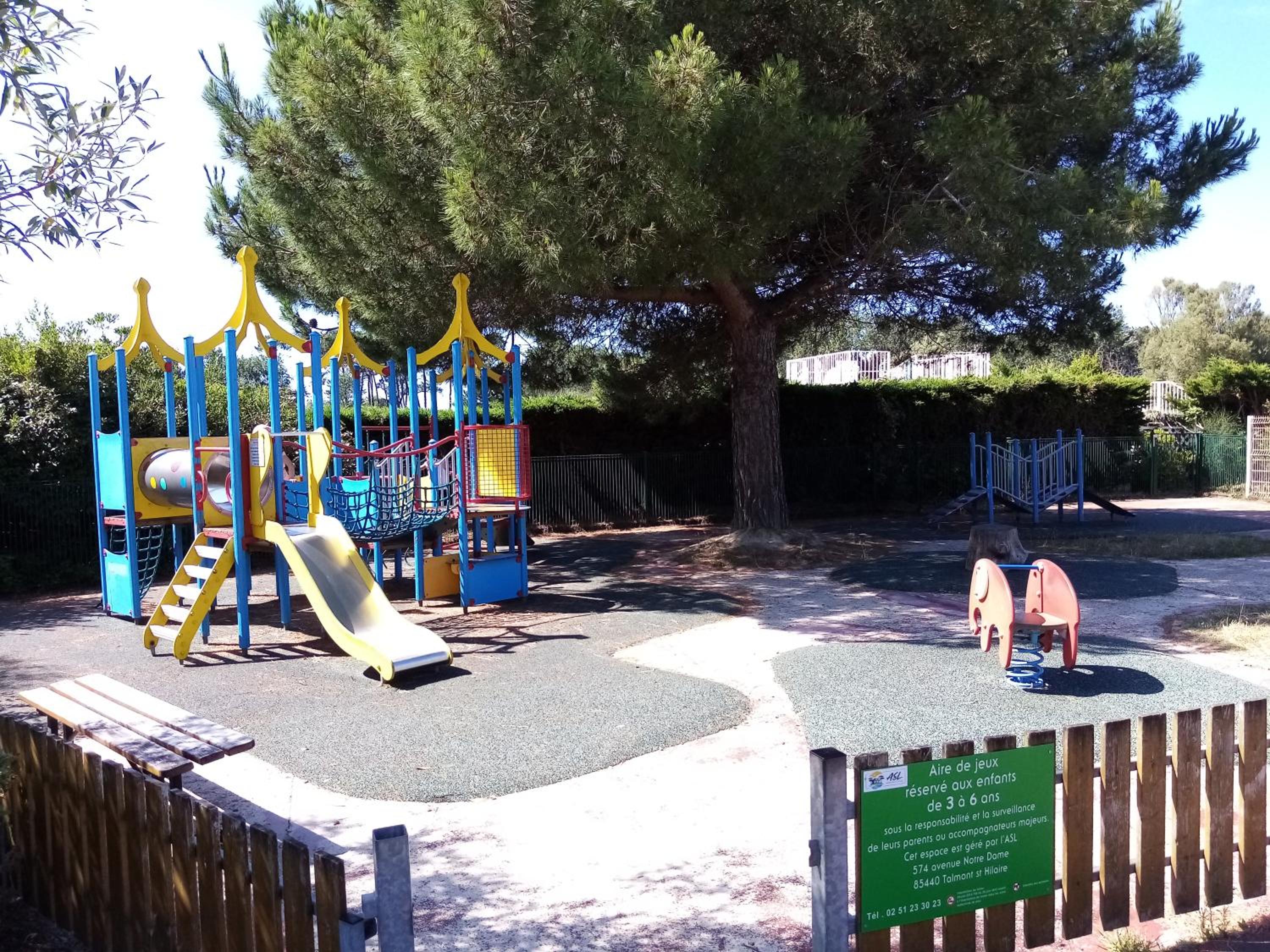 Photo 7
