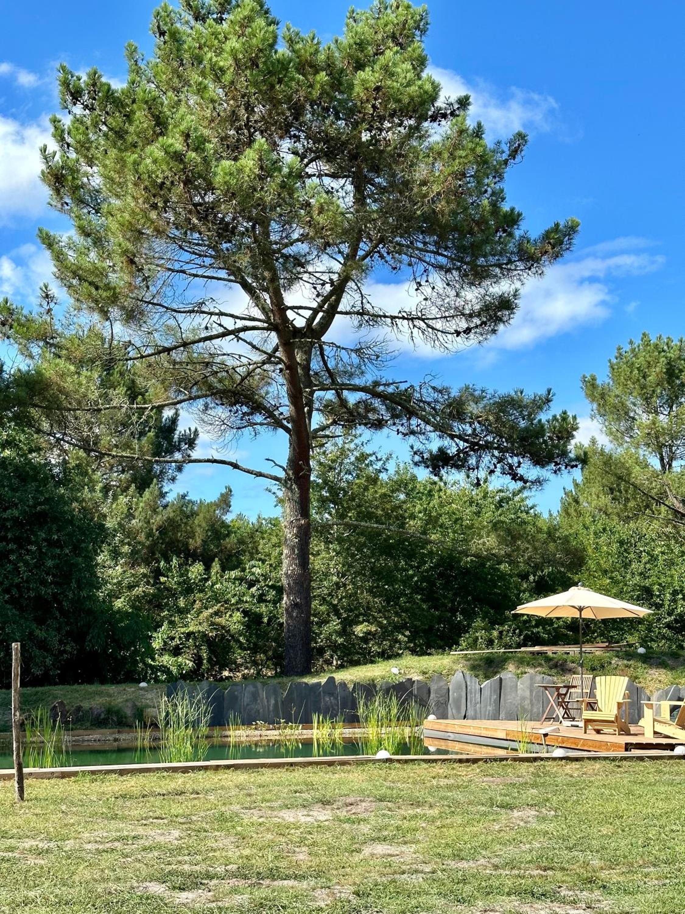 Maison Magnolia view 2