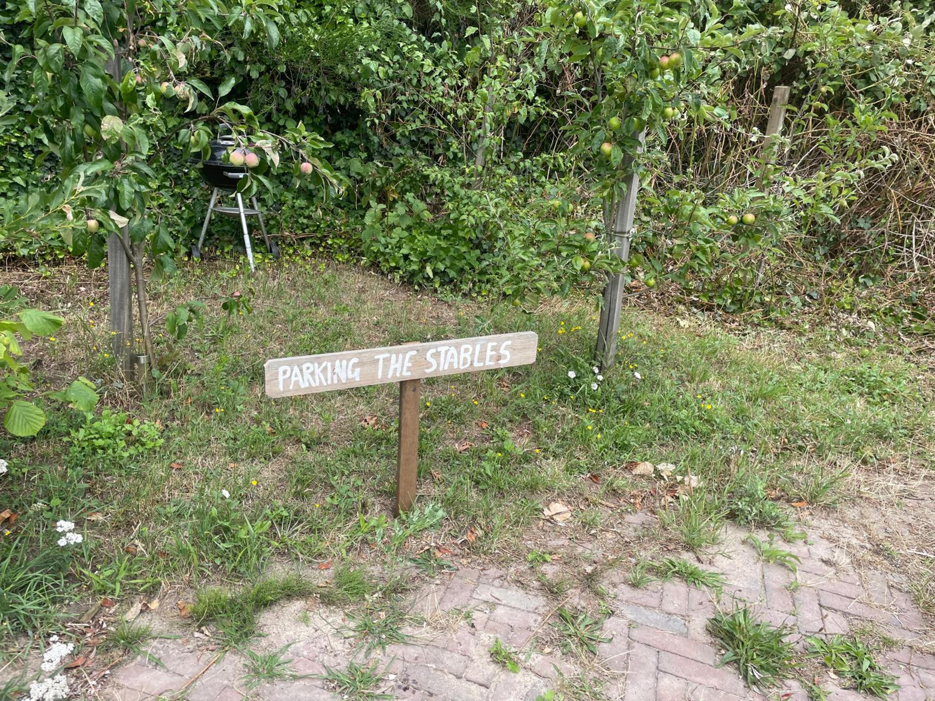 Photo 26