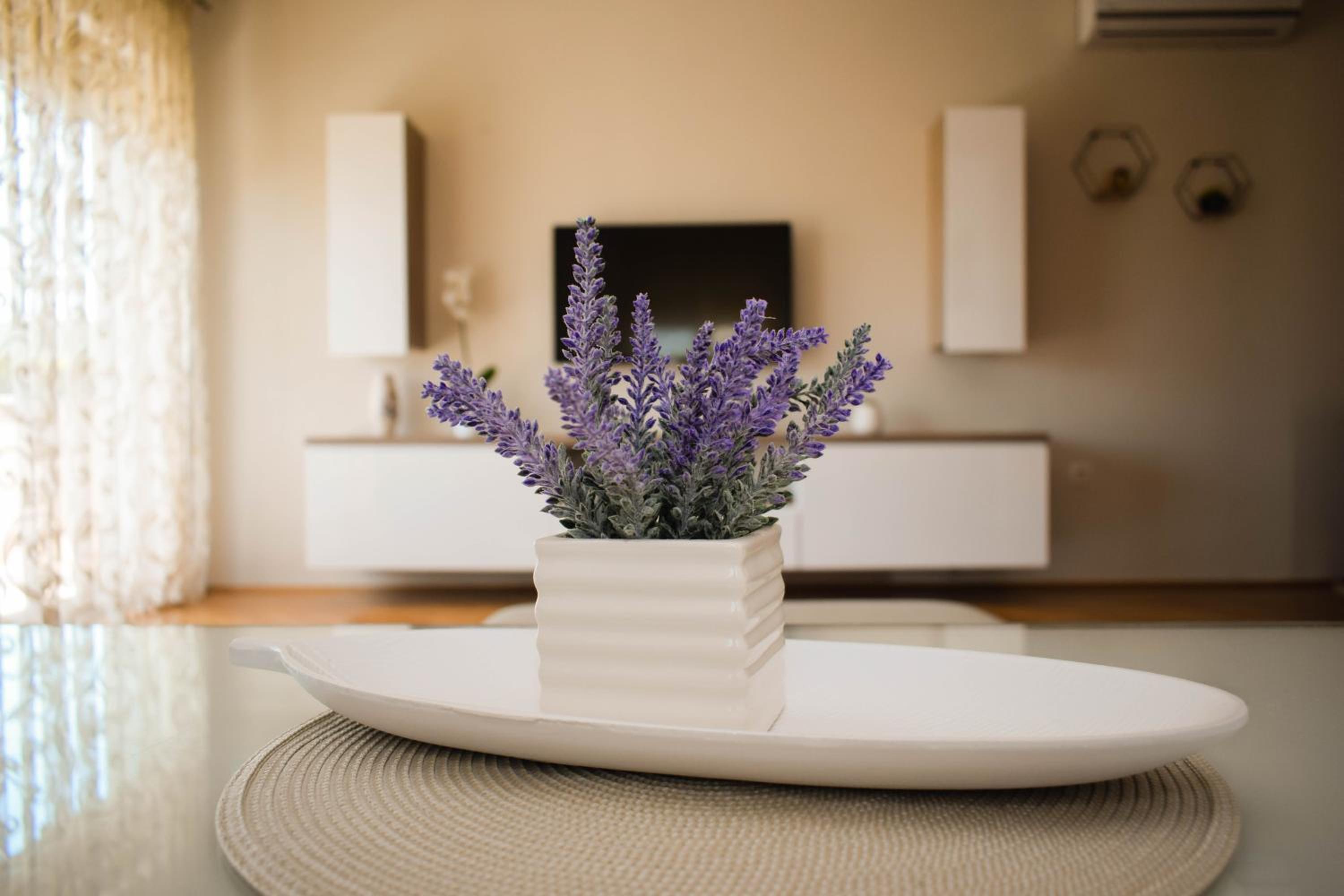 Apartman Vila Vita