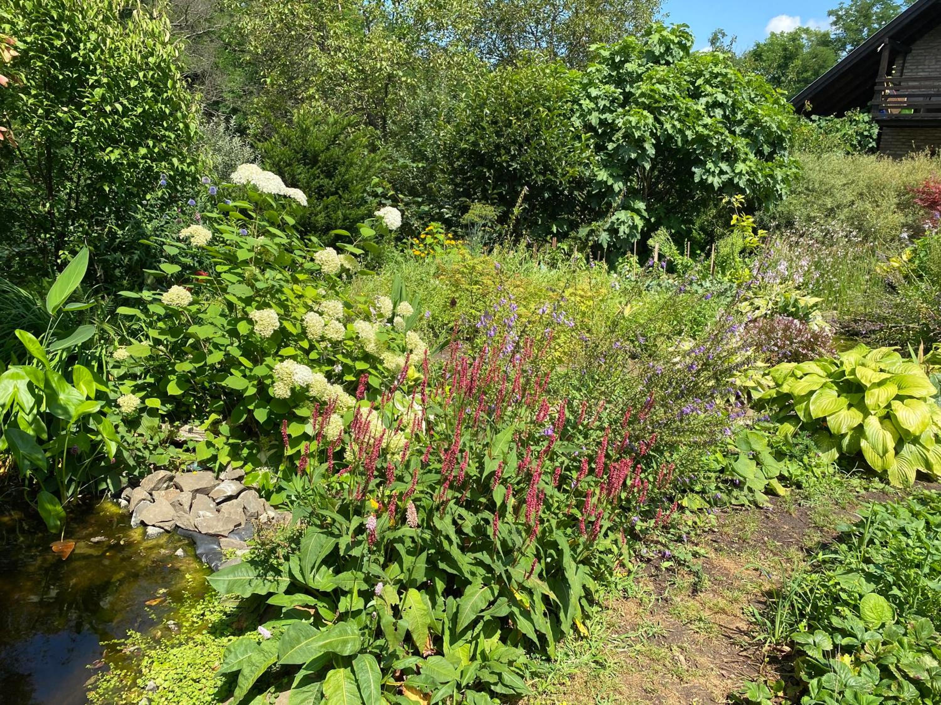 Photo 17