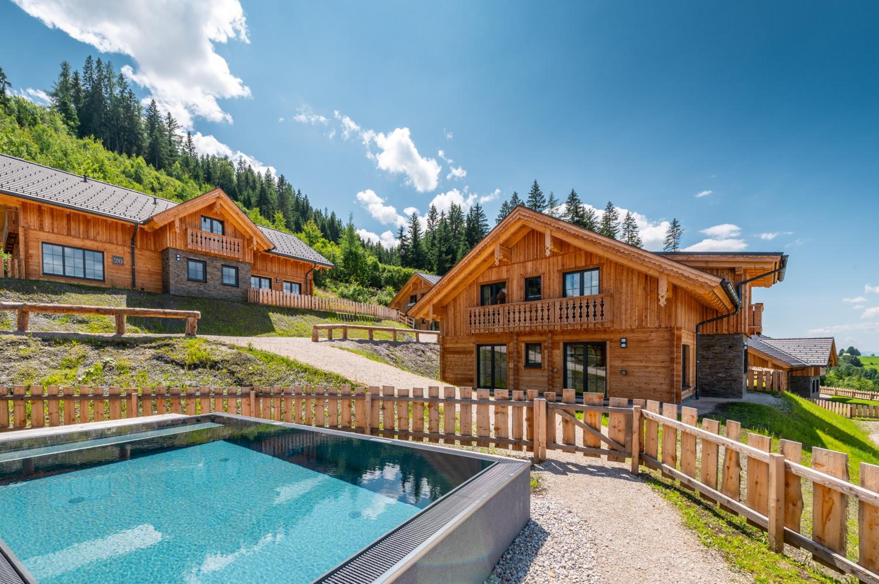 Poolchalet Dachsteinblick