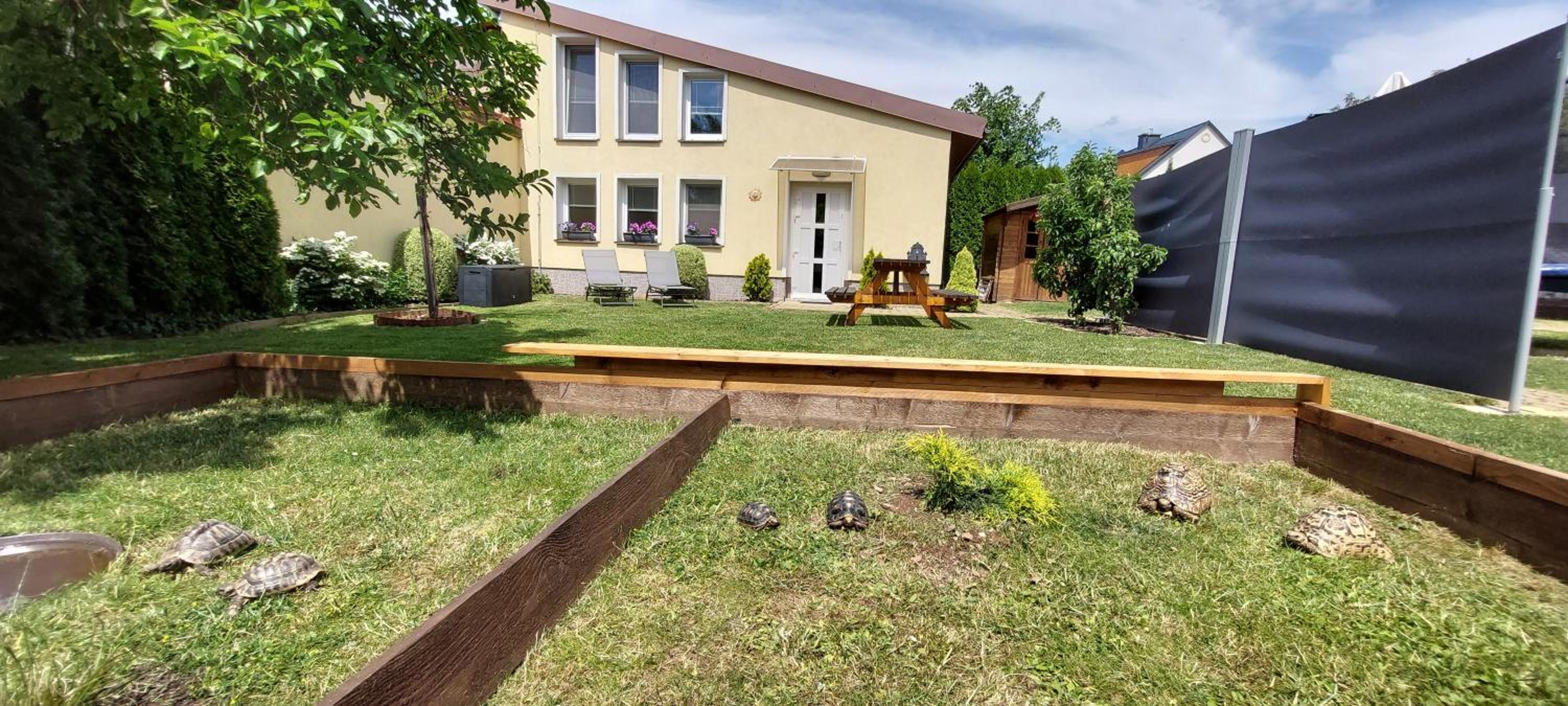 Domek na Liščím kopci v Krkonoších