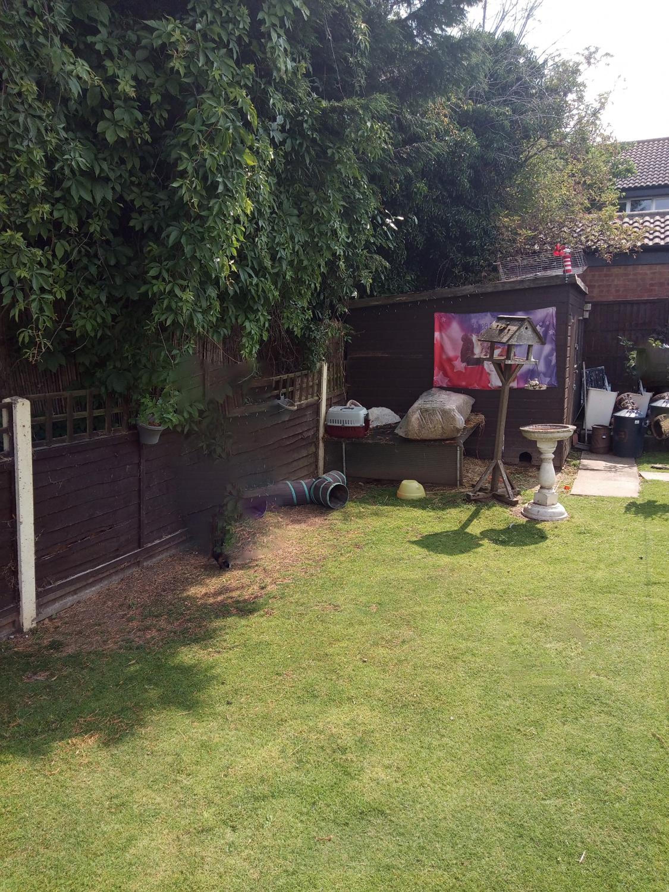 Photo 14