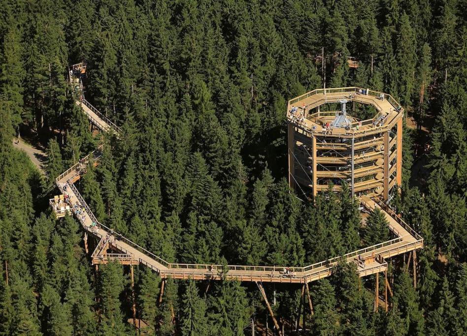 Domek na Liščím kopci v Krkonoších