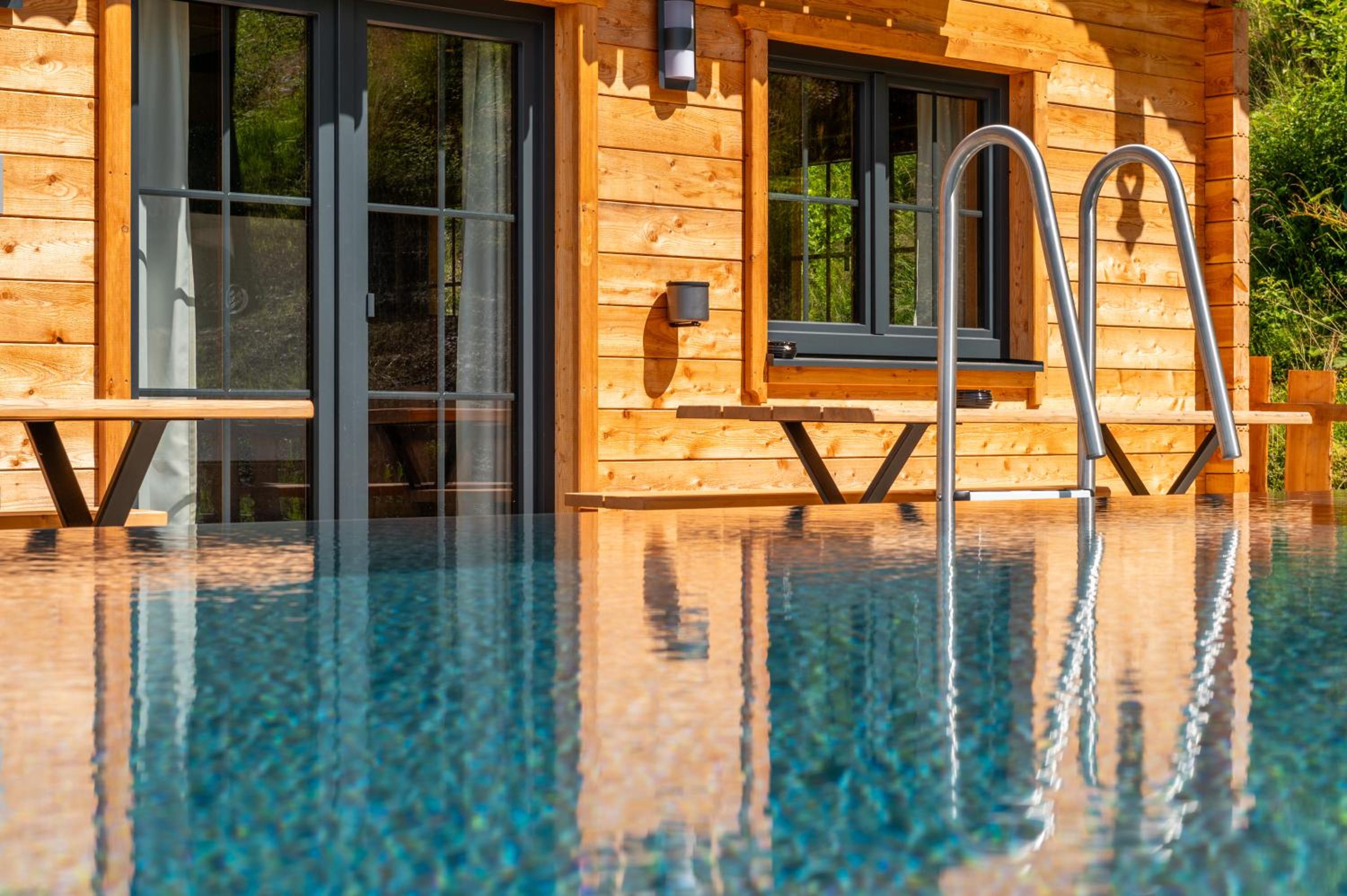 Poolchalet Dachsteinblick