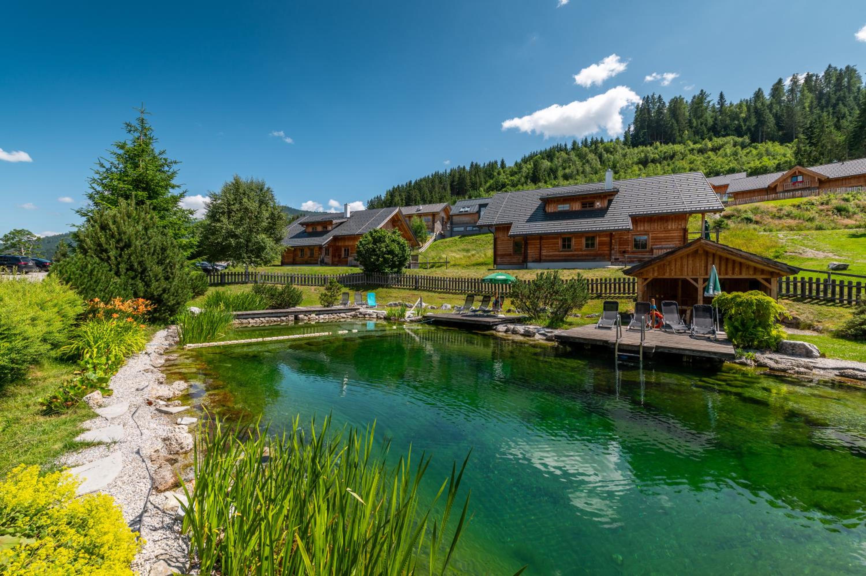 Poolchalet Dachsteinblick