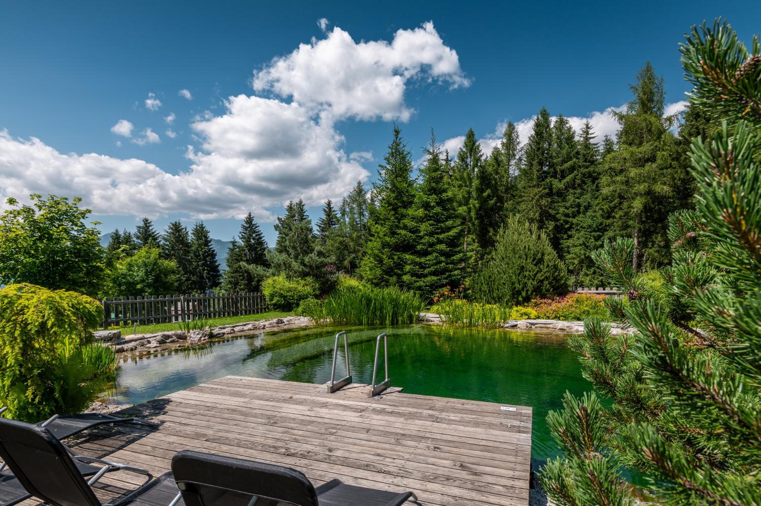 Poolchalet Dachsteinblick