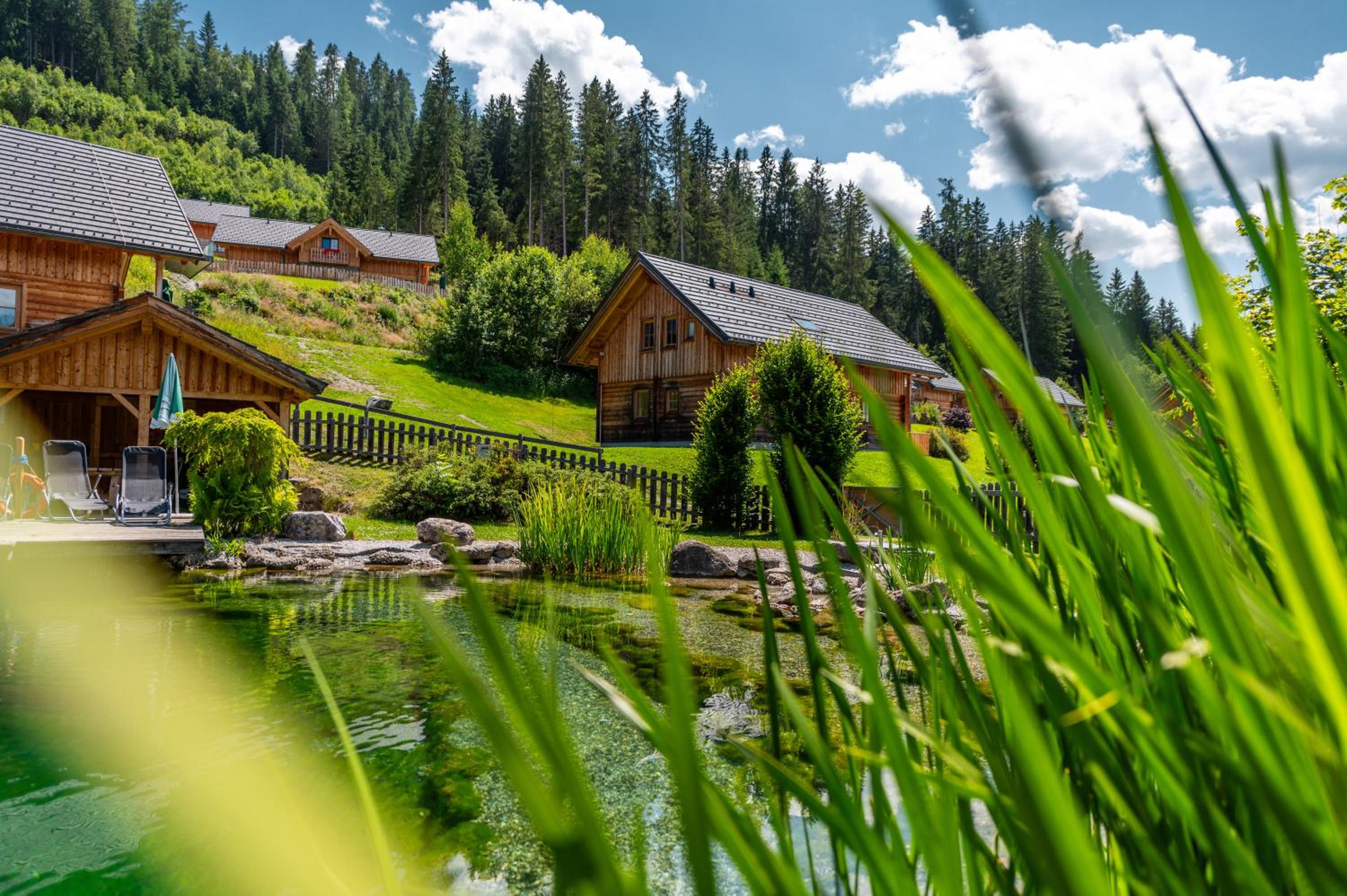 Chalet Dachsteinblick