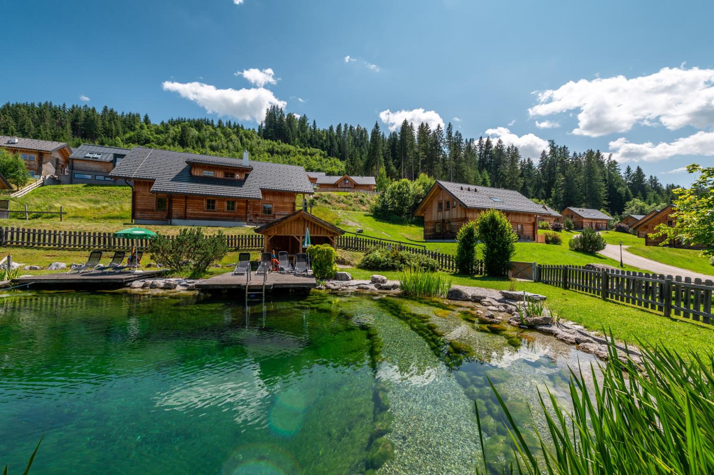 Chalet Dachsteinblick