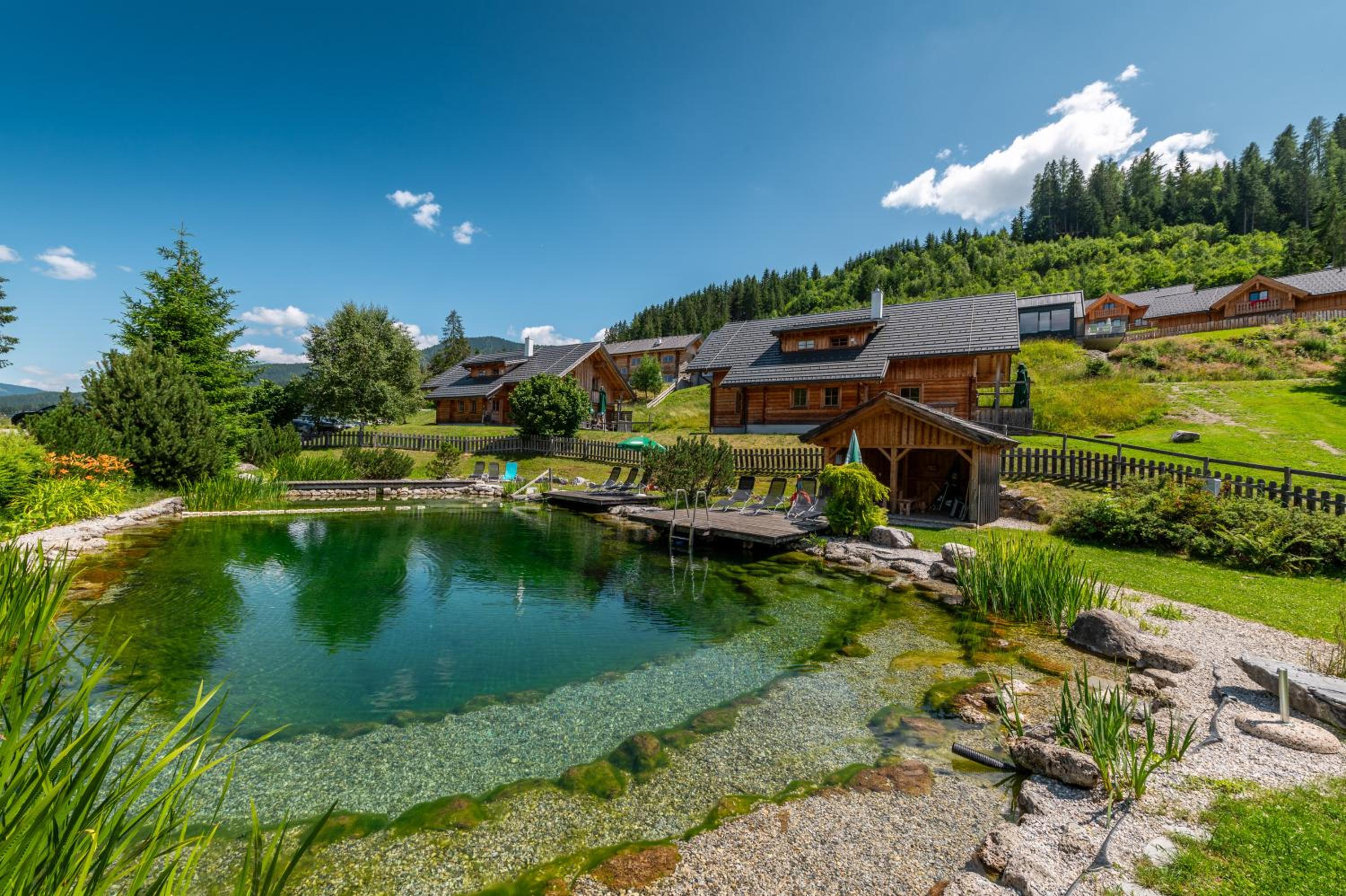 Chalet Dachsteinblick