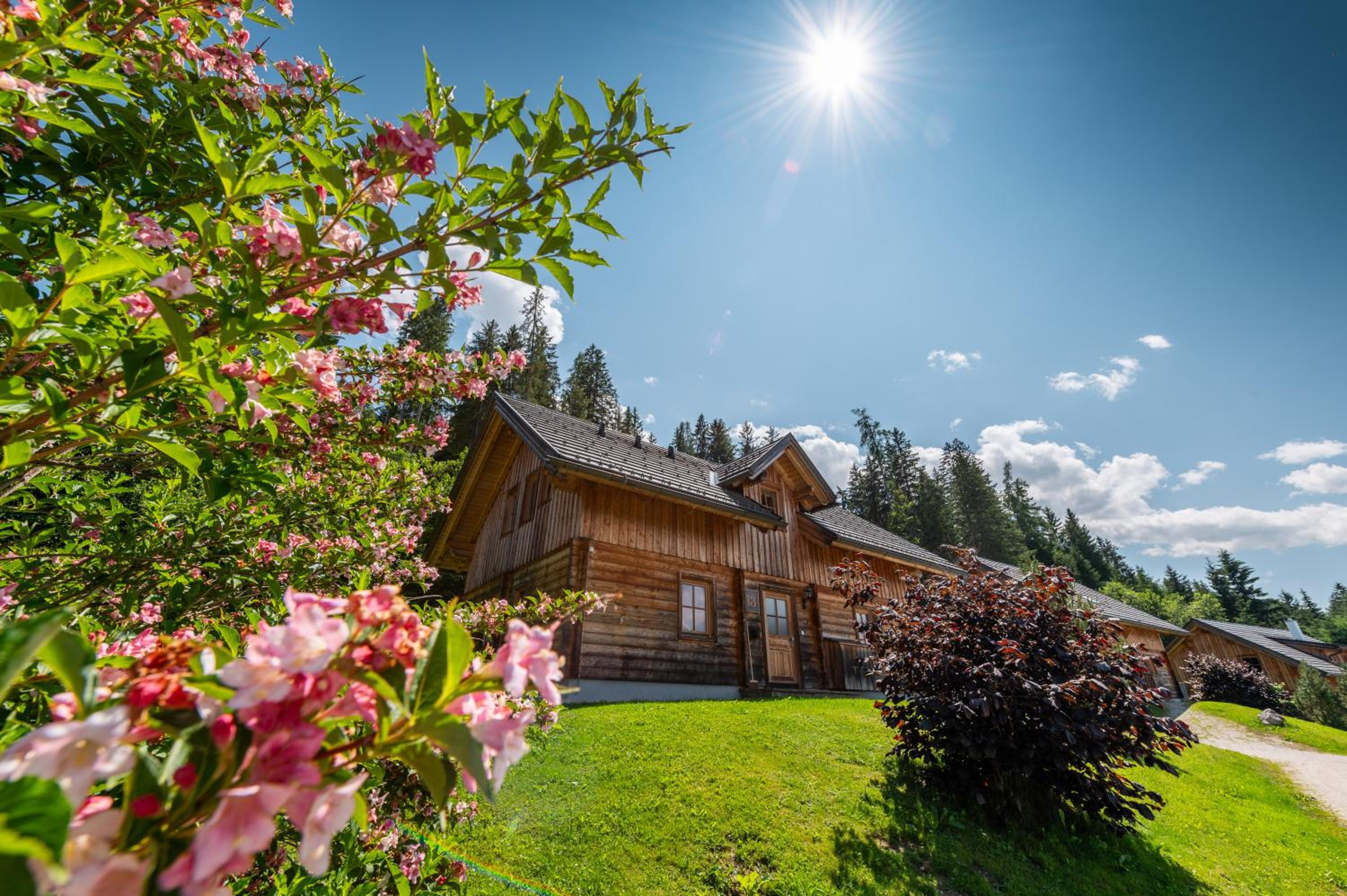 Chalet Dachsteinblick