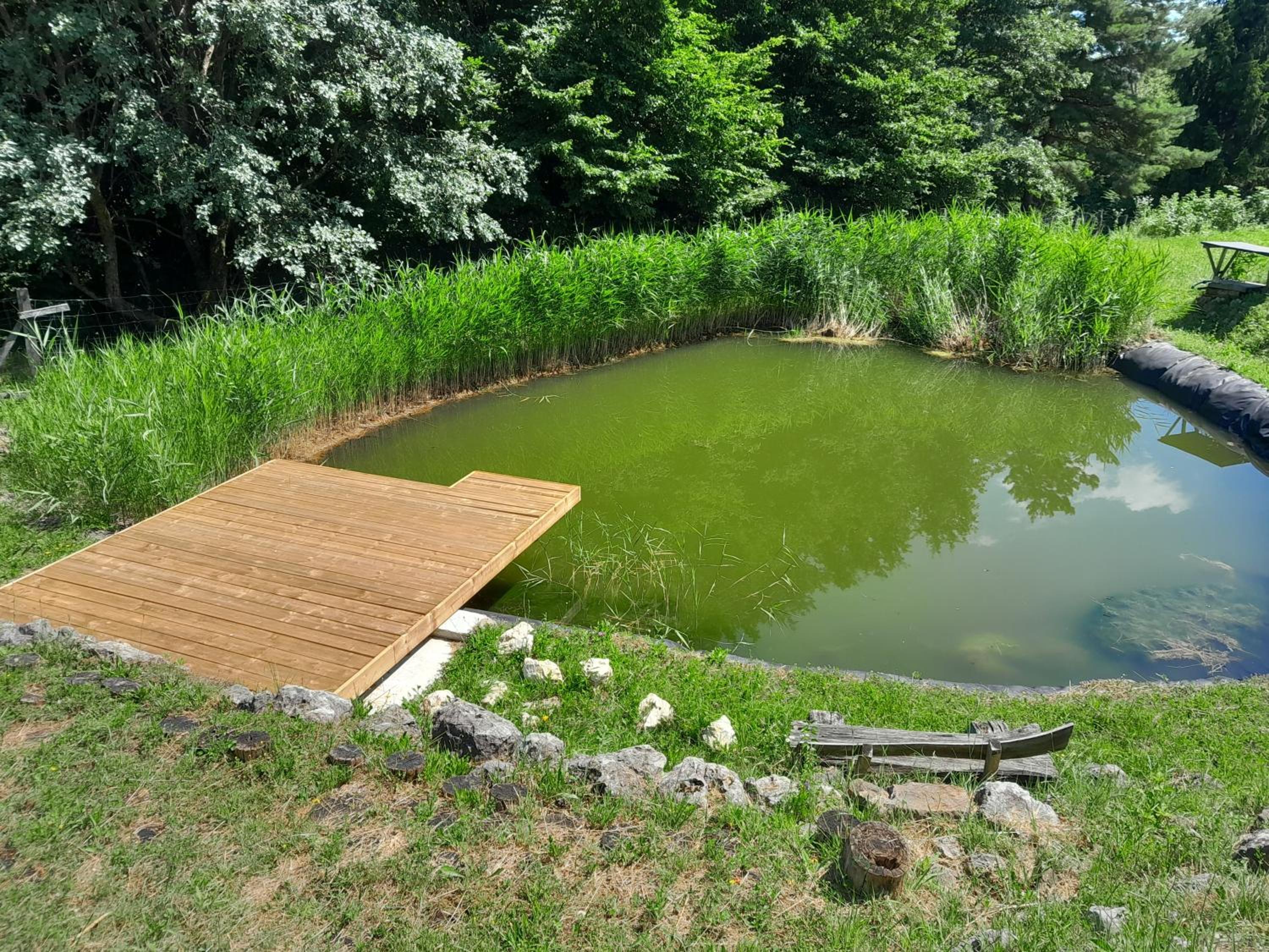 ECO Tourist Farm Kostanje view 5