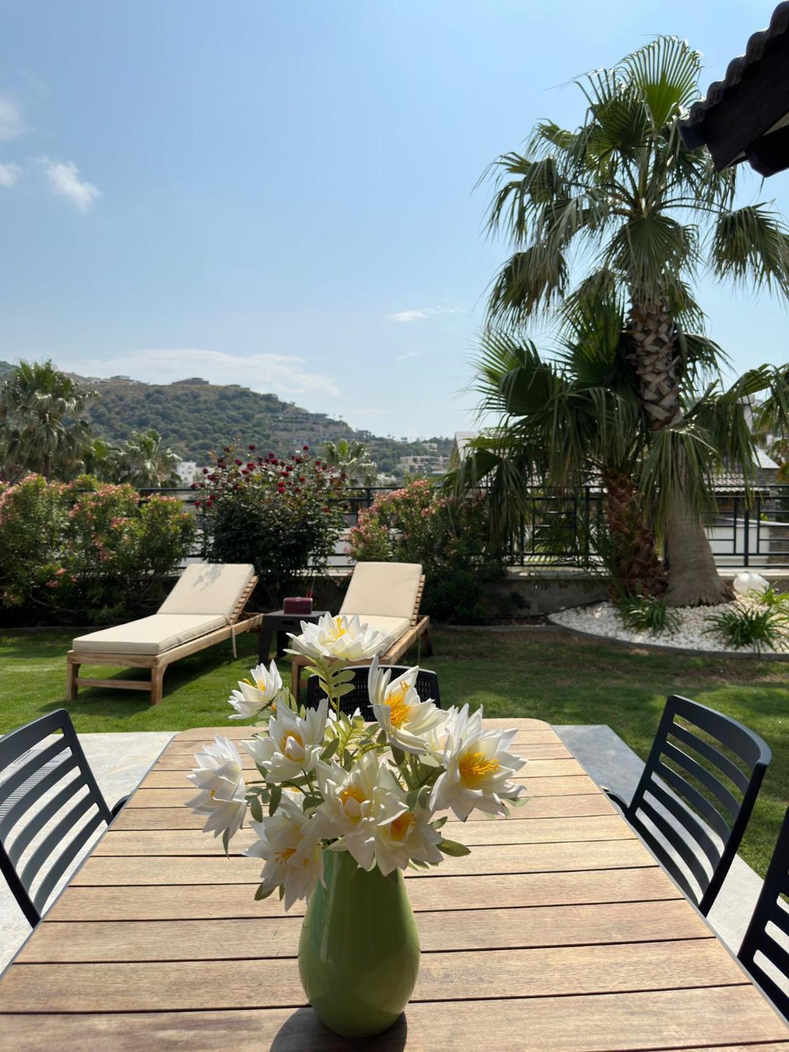Villa Falcon with Swimming Pool and Great Views in Yalikavak Bodrum view 5