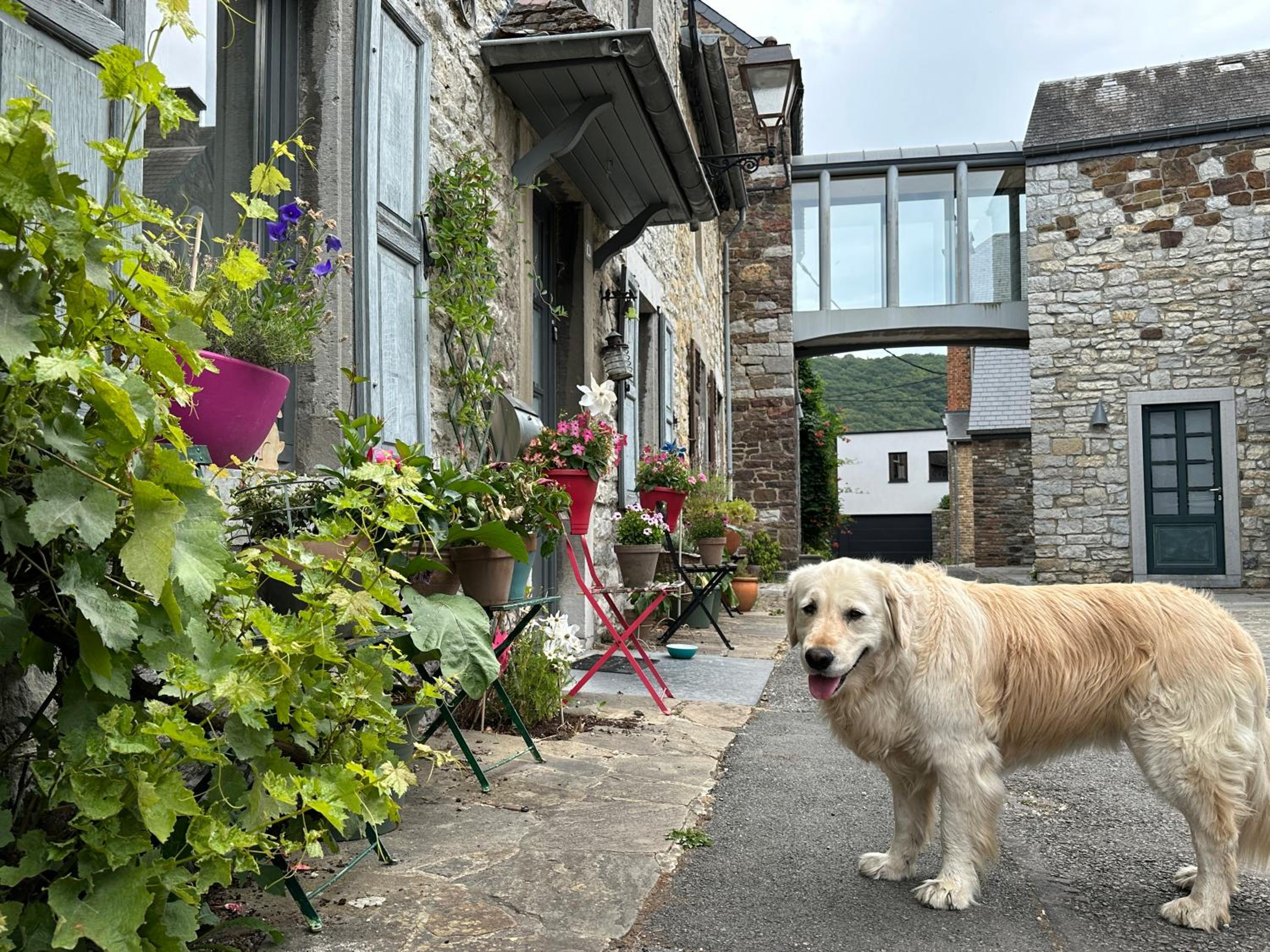 Plaisances, les plaisirs du bord de Meuse - Chambre d'hôtes avec baignoire spa