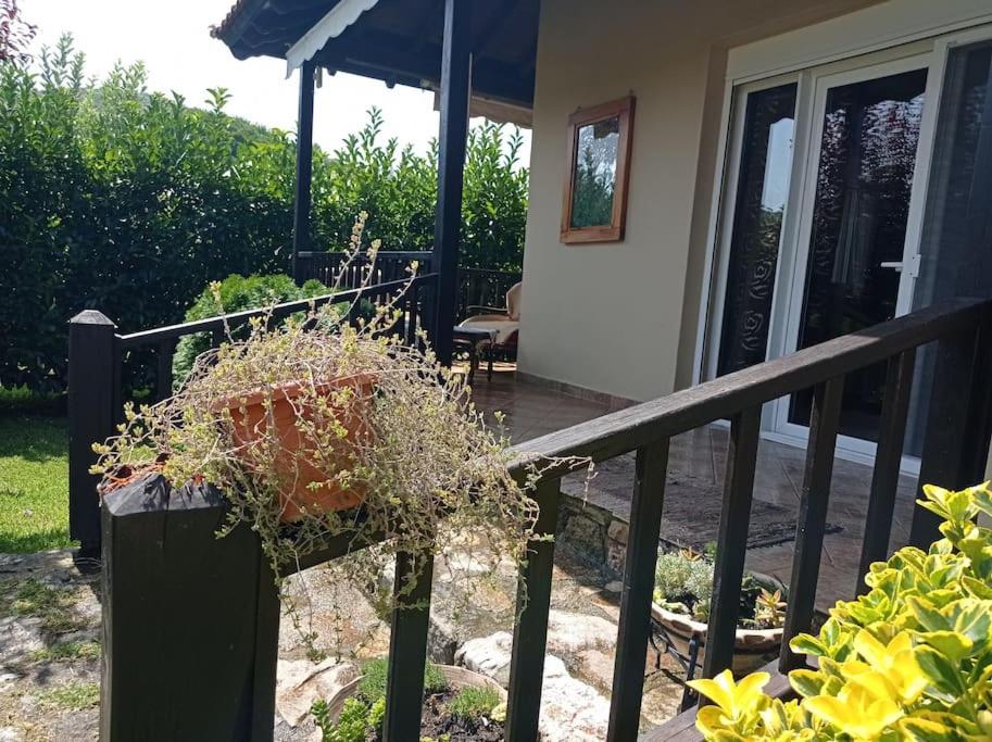 villa exclusive