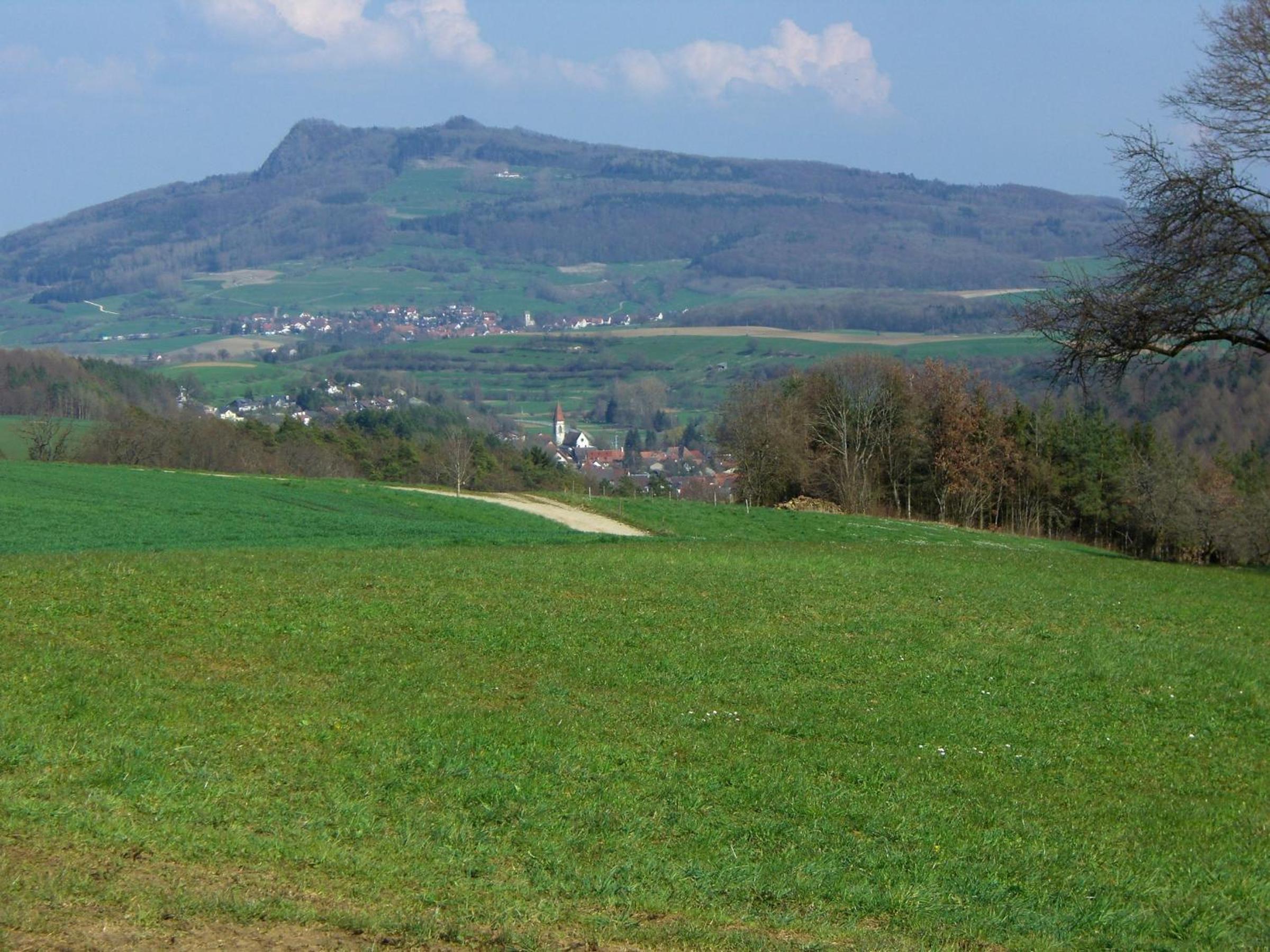 Photo 20