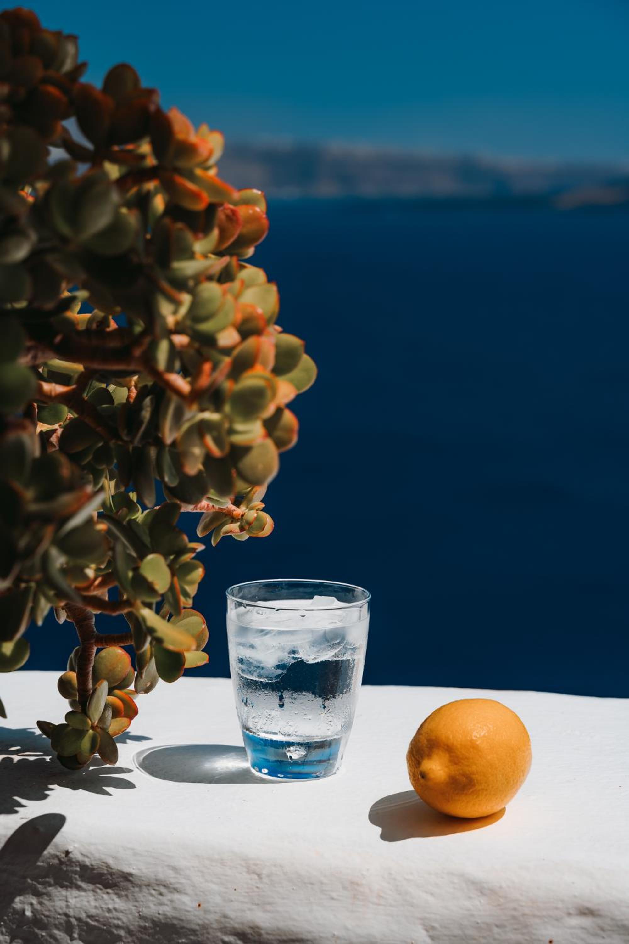 Sophia Oia View