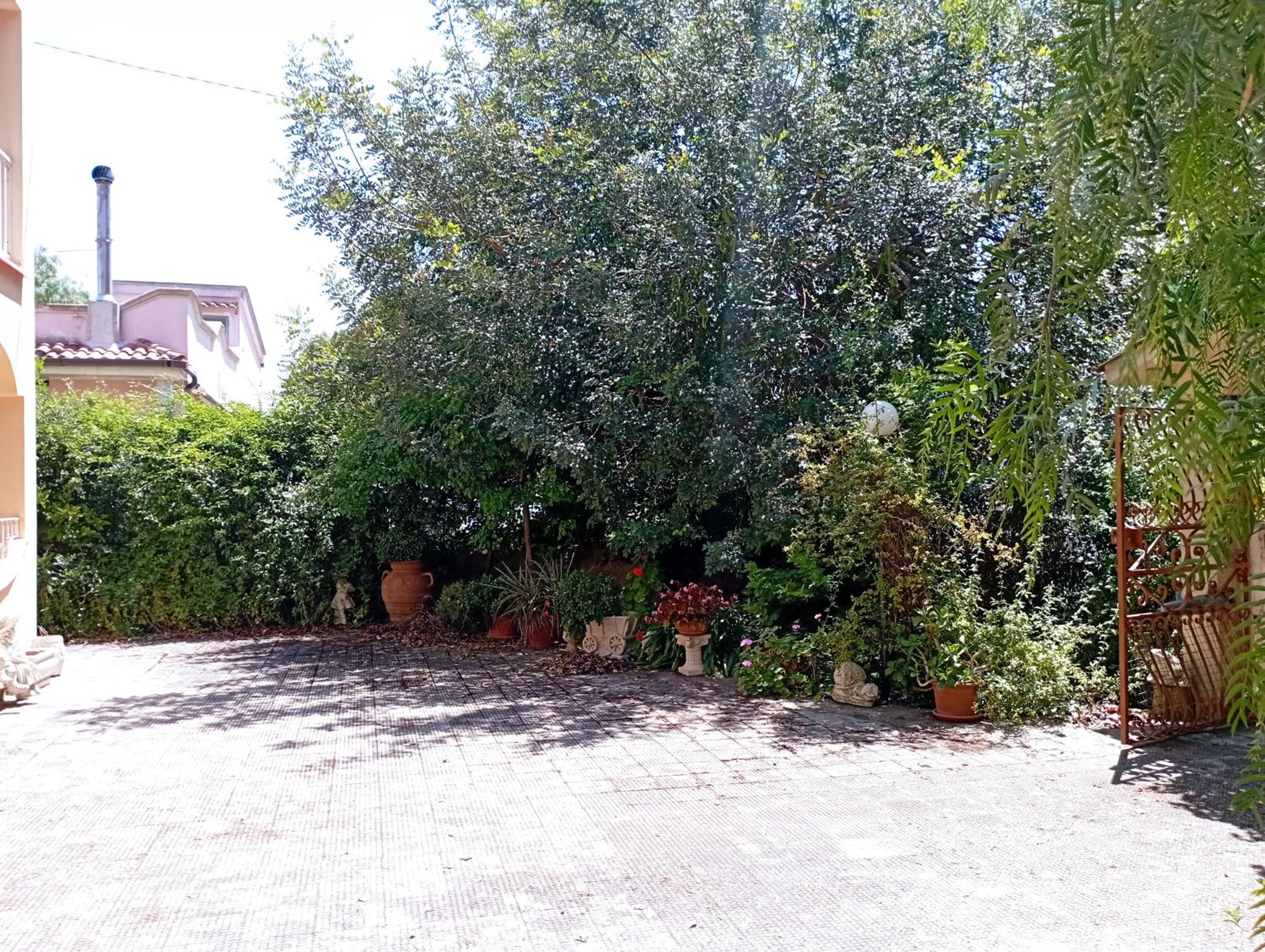 Photo 39