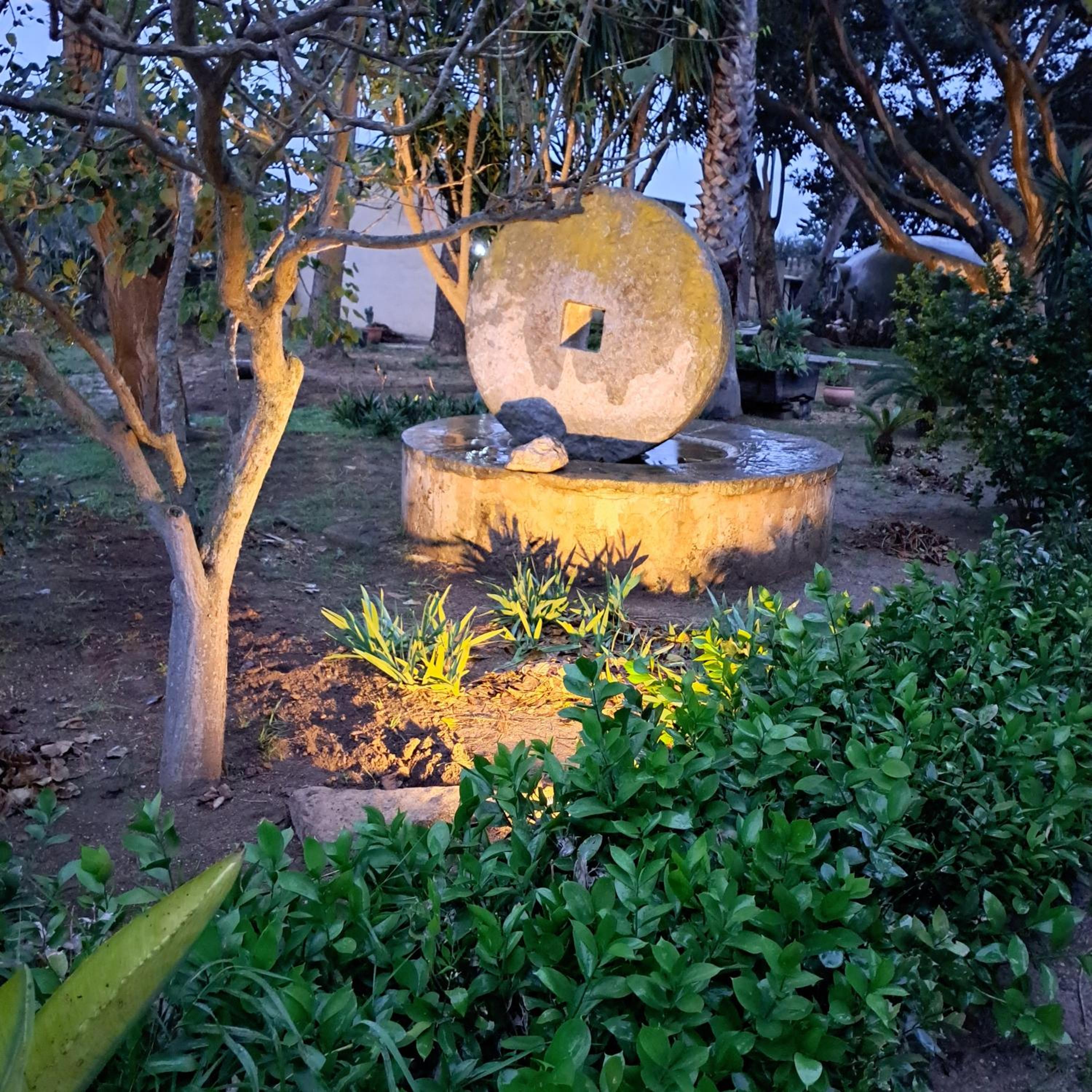 Photo 31