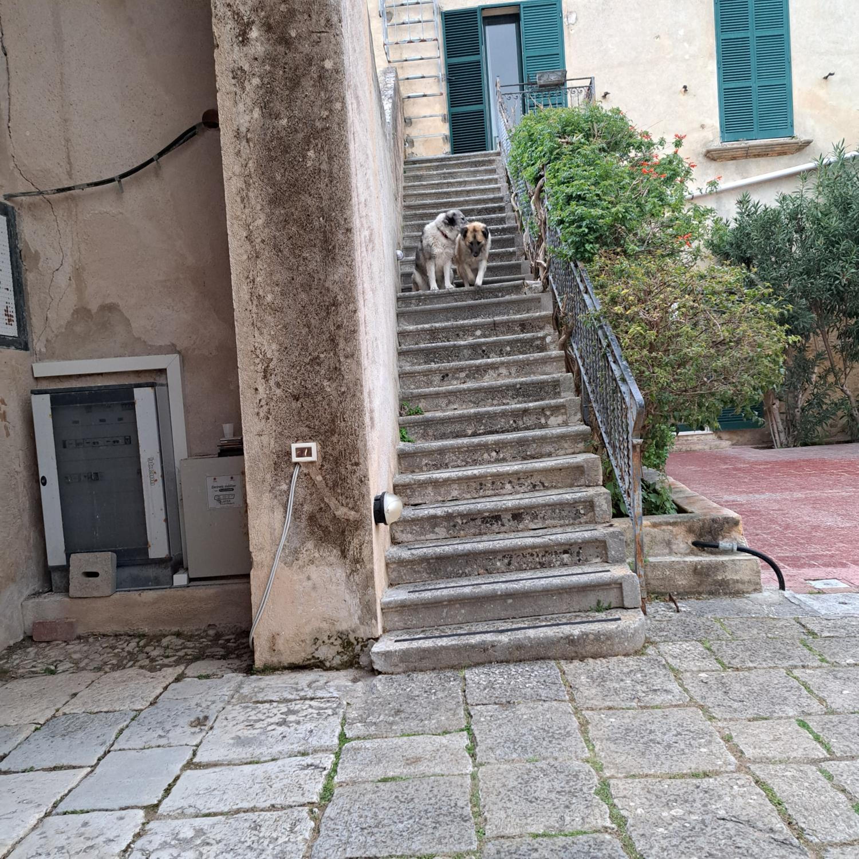 Photo 35