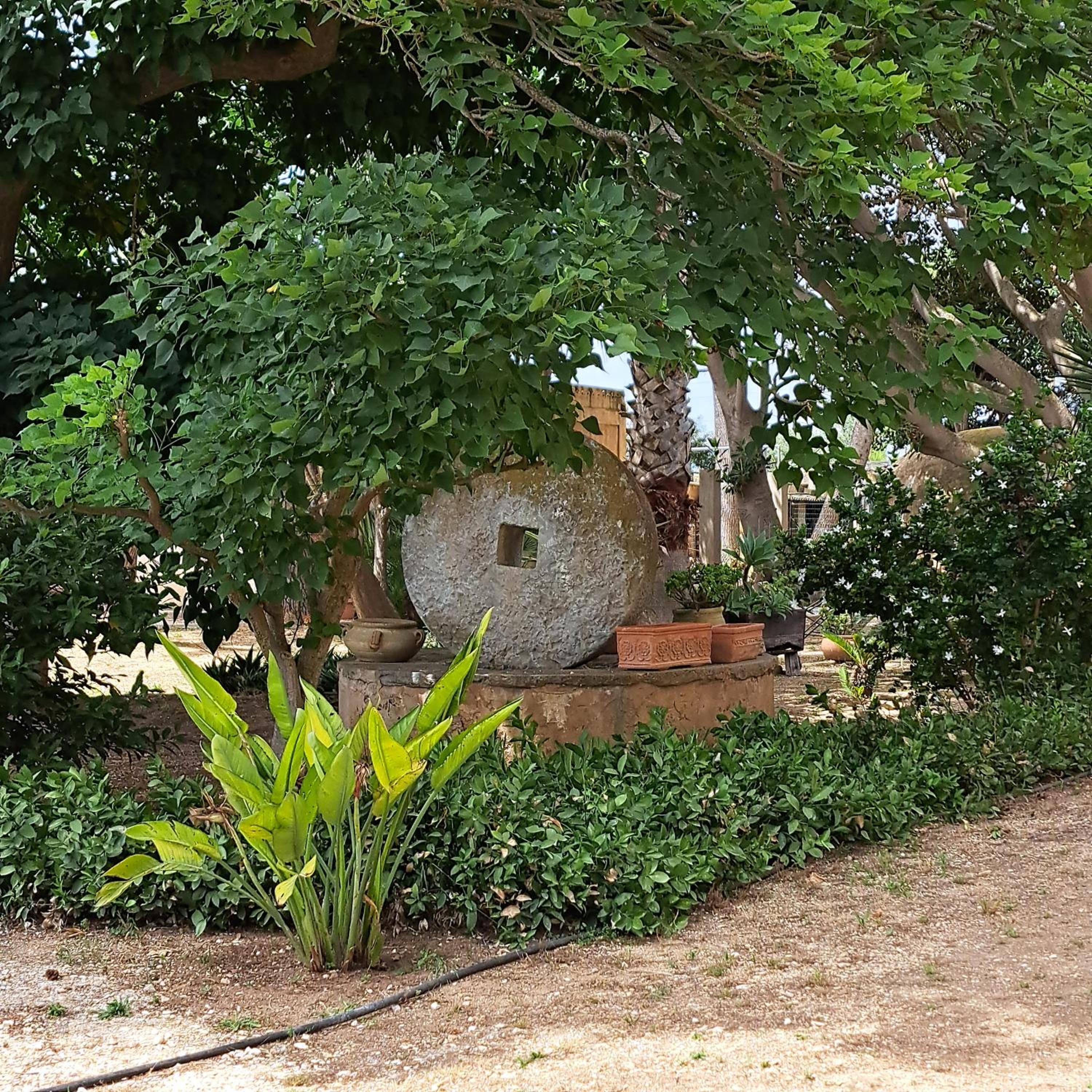 Photo 43