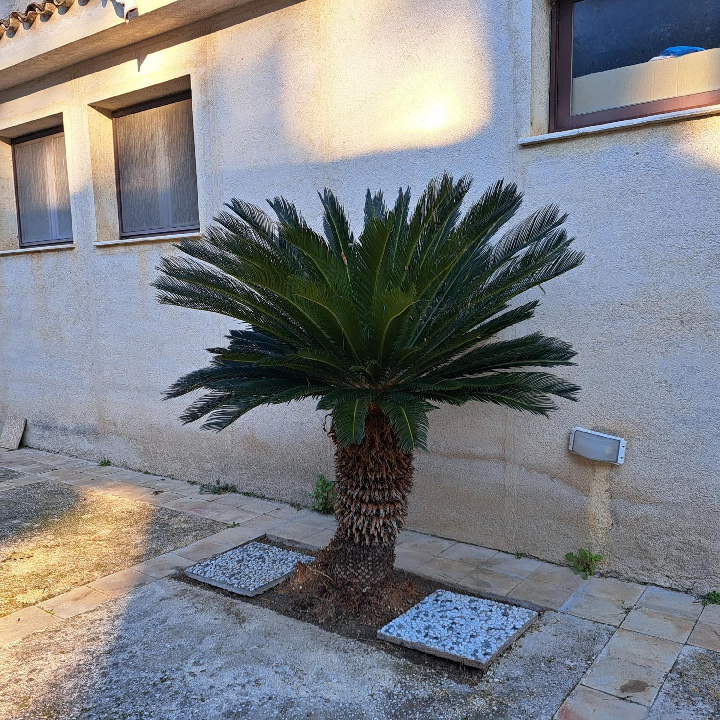 Photo 45