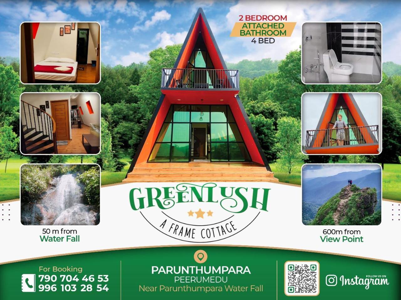 GREEN LUSH