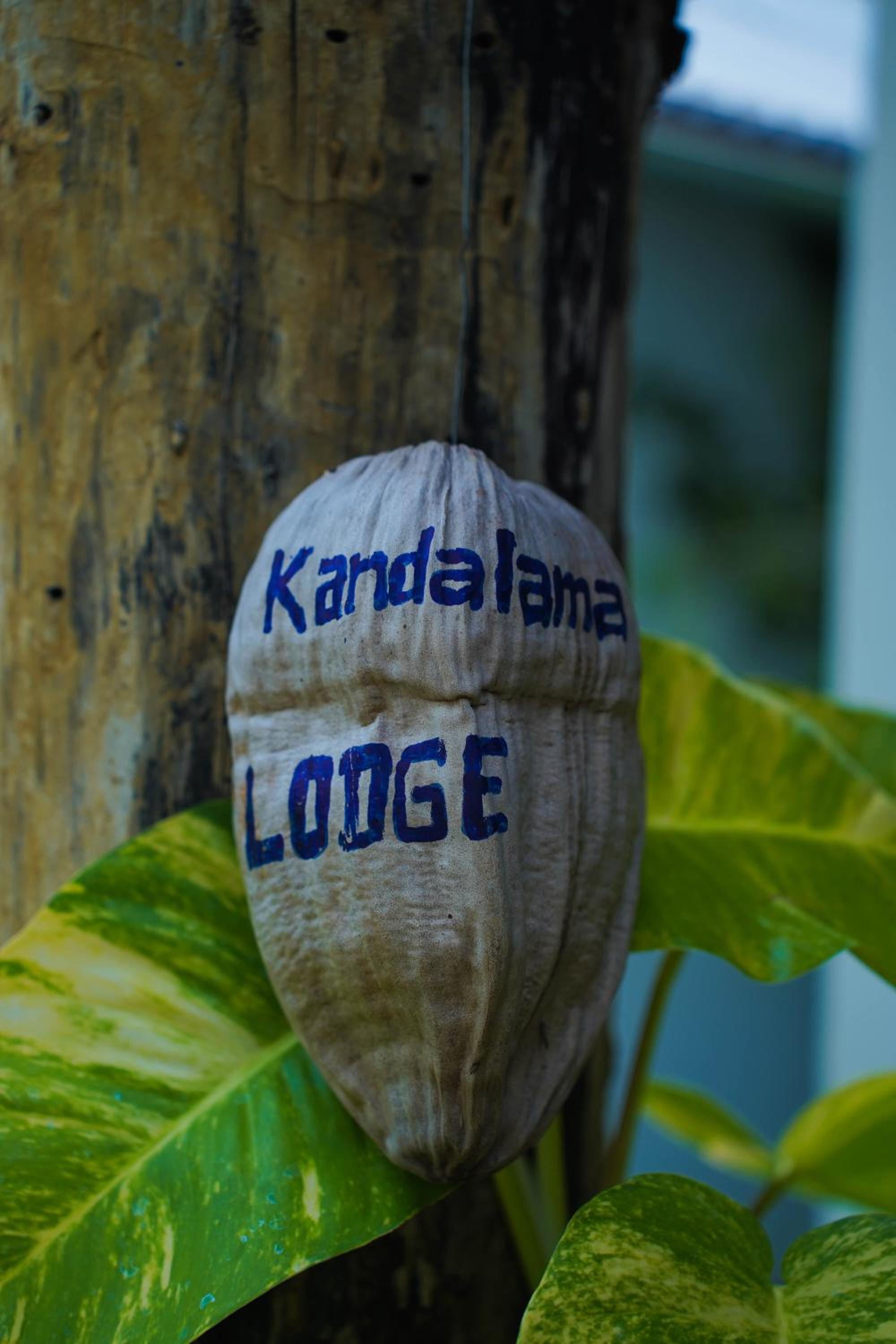 Kandalama Lodge