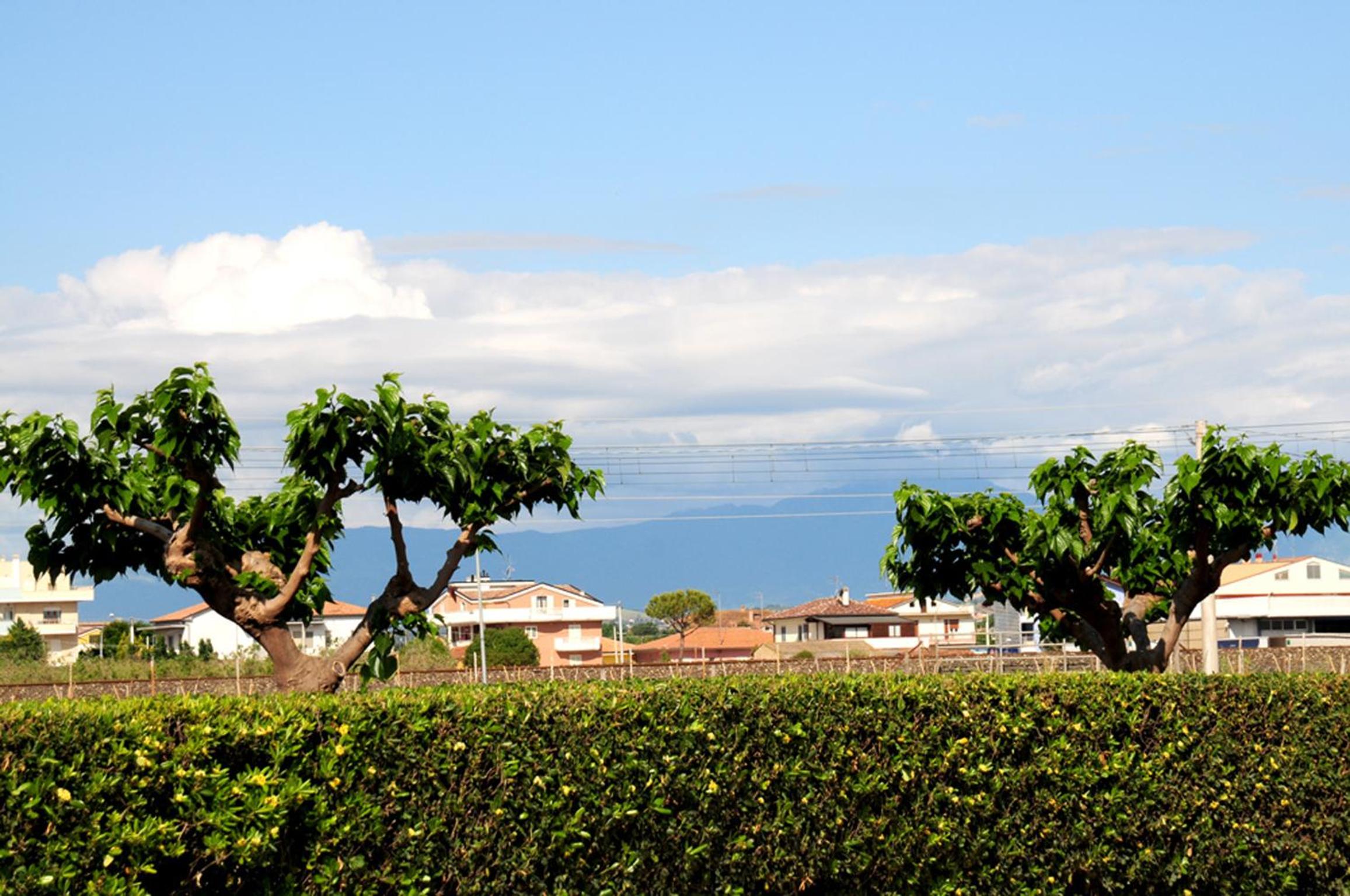 Agriturismo Frontemare