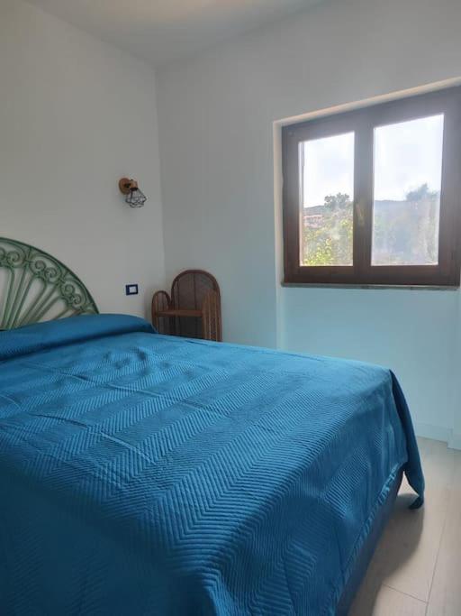 Alma Ruia apartments