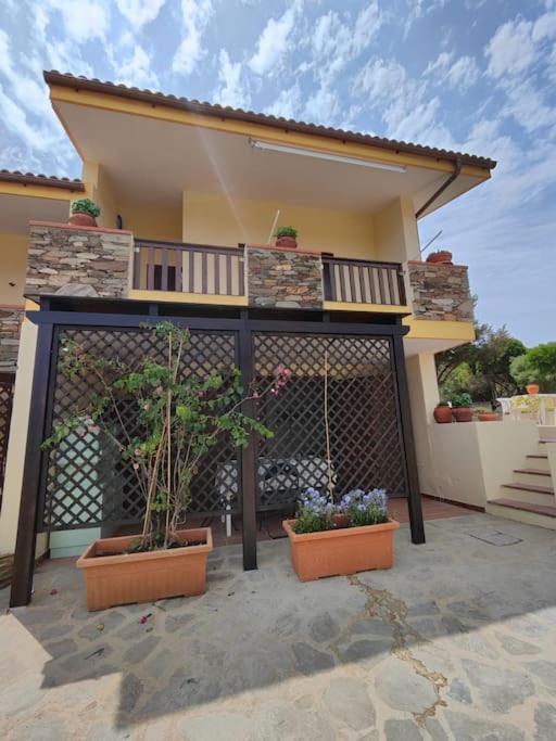Alma Ruia apartments