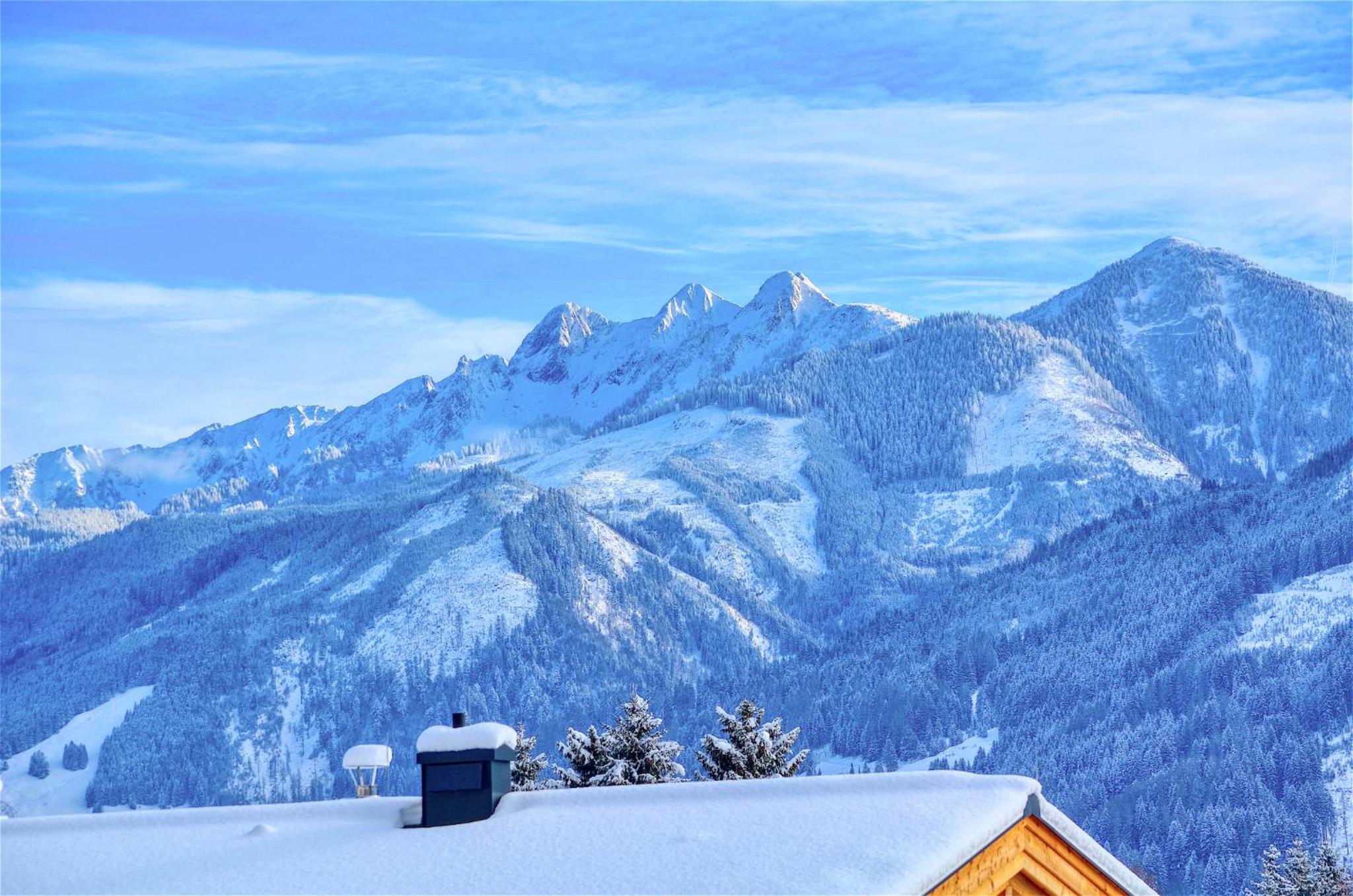 Apartment Leon - by Alpen Apartments