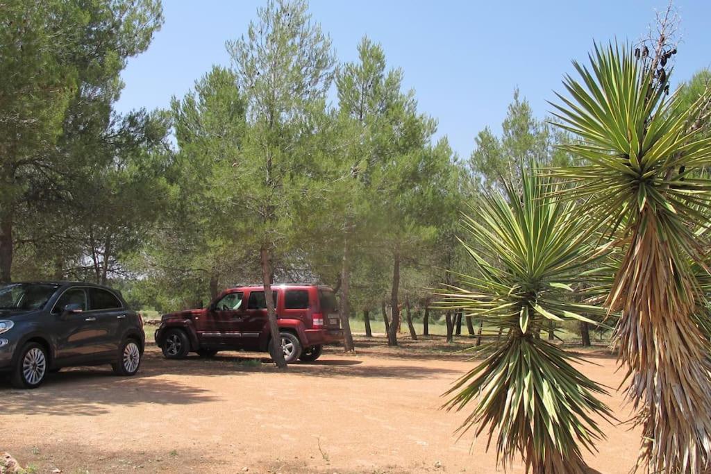 Gran Casa, Lagunas de Ruidera, BBQ, porche, chimenea view 5