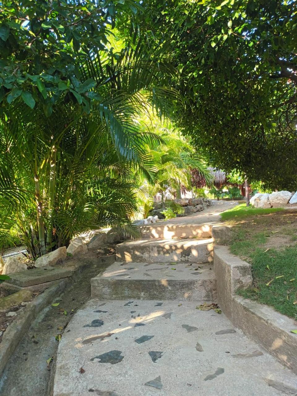 Photo 49