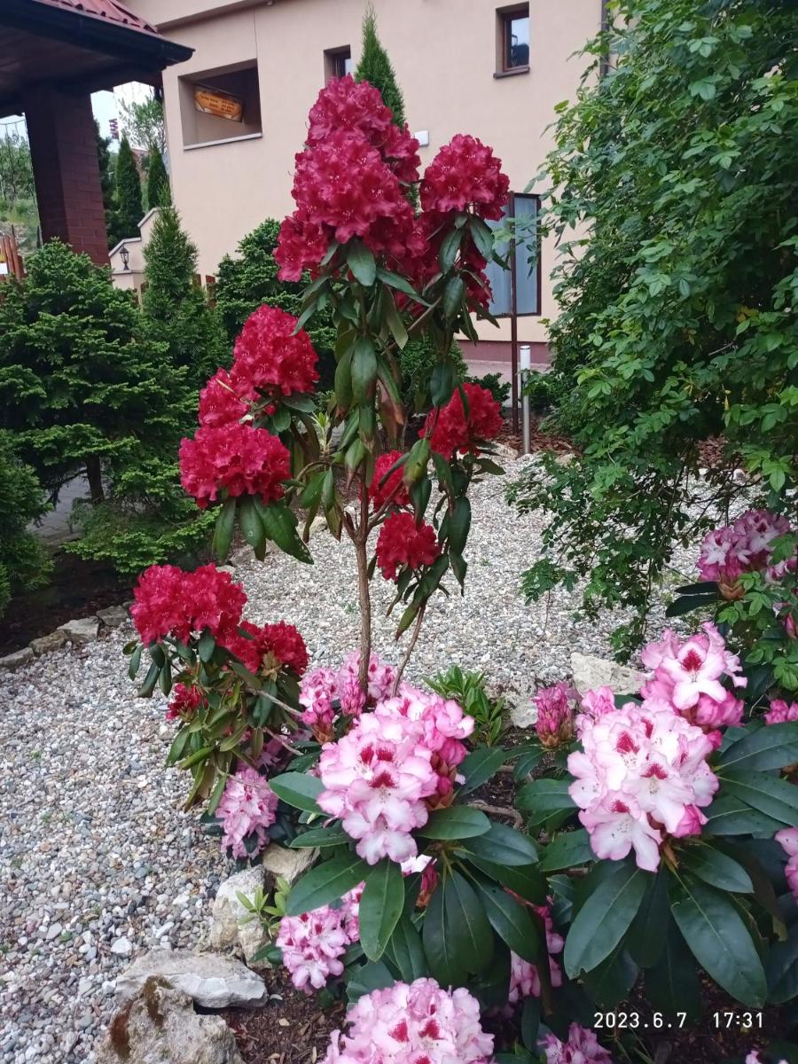 Photo 22